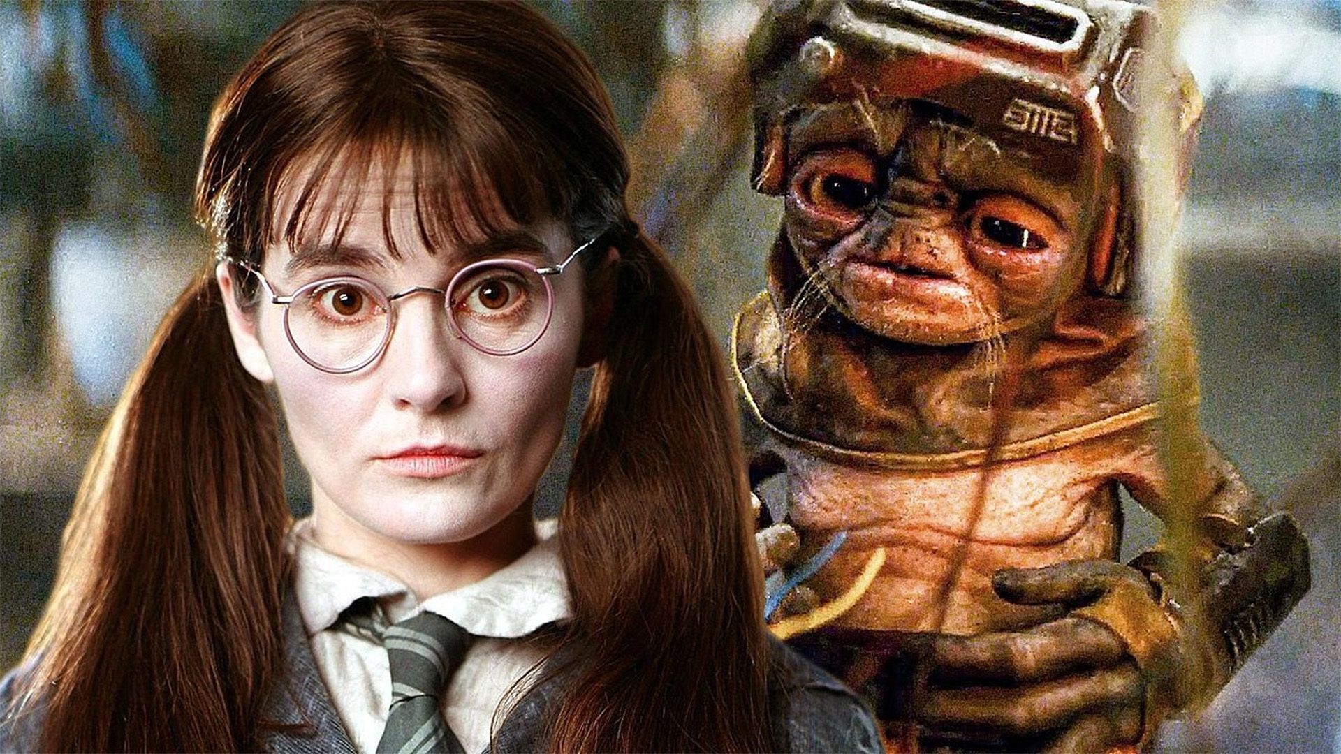 Every Harry Potter Actor In Star Wars
