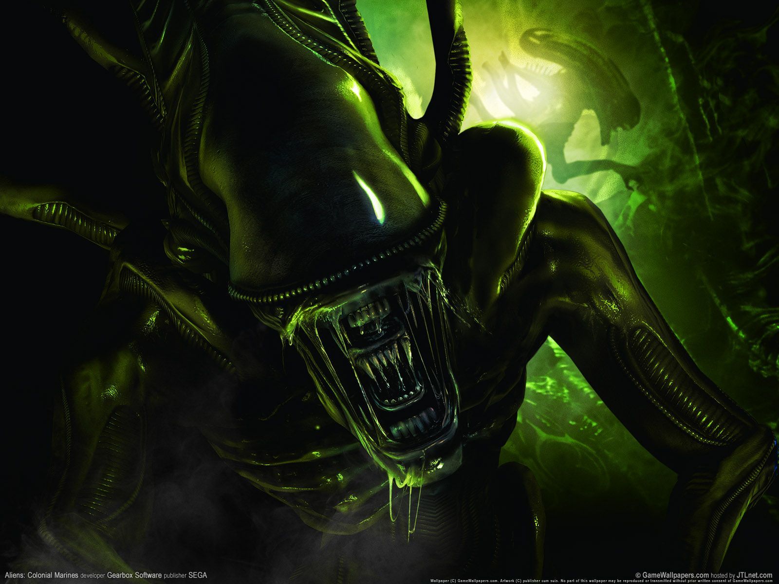 By wallpapervortex.com and it maybe a green alien and there is no date. Aliens colonial marines, Alien picture, Green movie