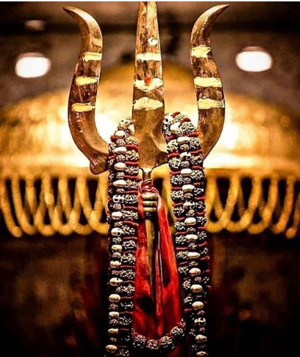 Ultimate Guide on Rudraksha - Types, Benefits, Wearing Rules -  TemplePurohit - Your Spiritual Destination | Bhakti, Shraddha Aur Ashirwad