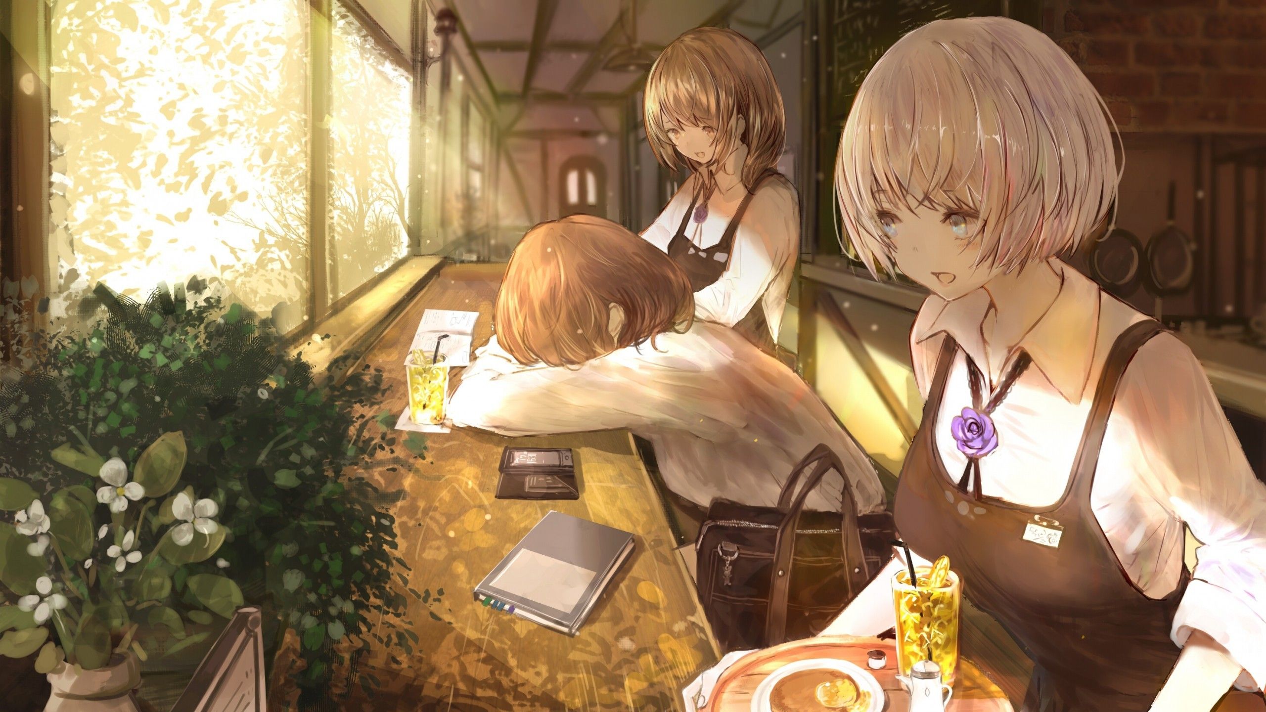 Download 2560x1440 Anime Girls, Lemonade, Waitress, Cafe, Sunlight, Windowsill Wallpaper for iMac 27 inch