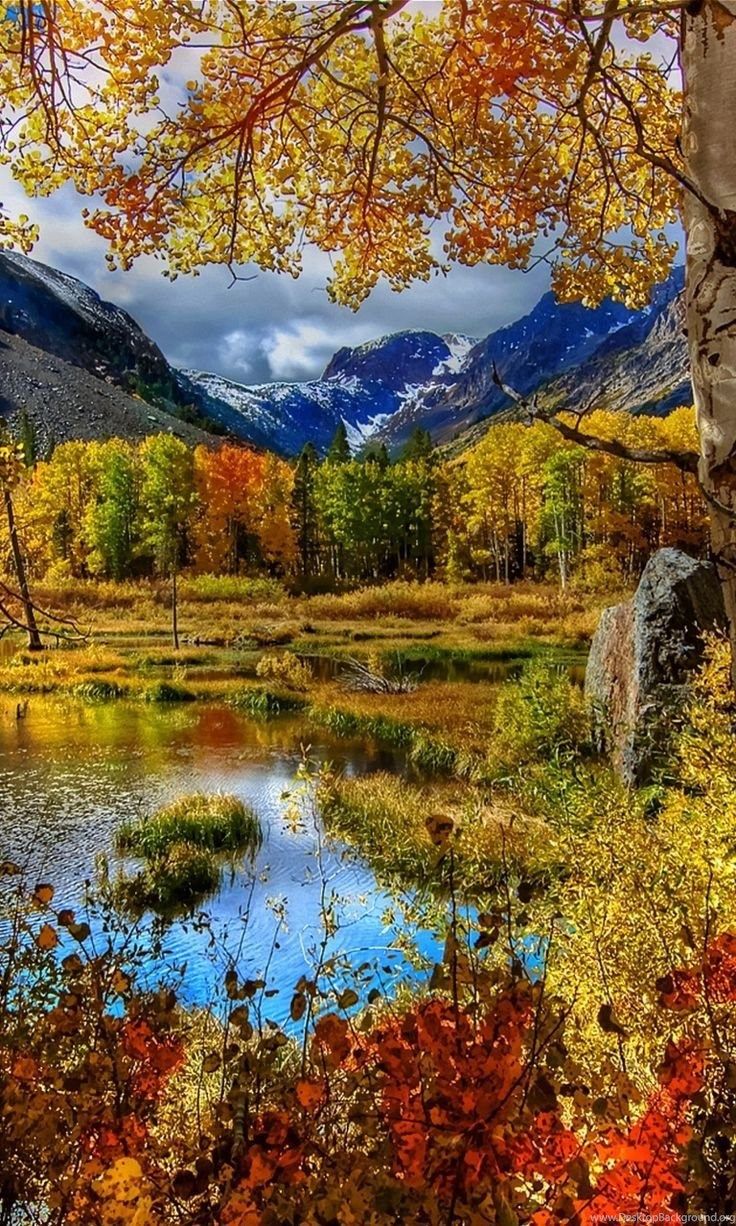 Amazing Autumn Scenery Mobile Wallpaper For 768x1280 Desktop Background