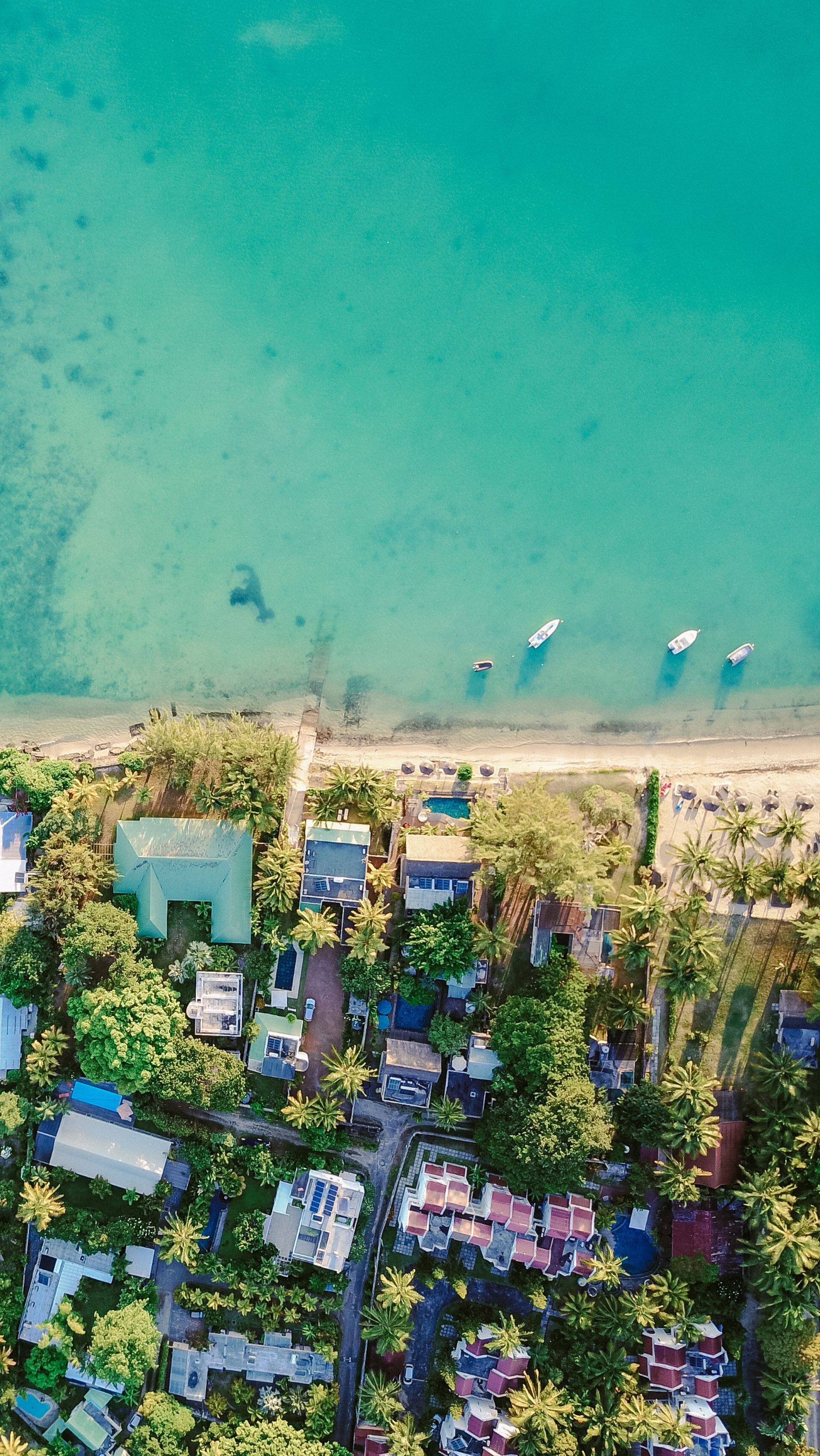 Christmas Anime iPhone Wallpaper Beach