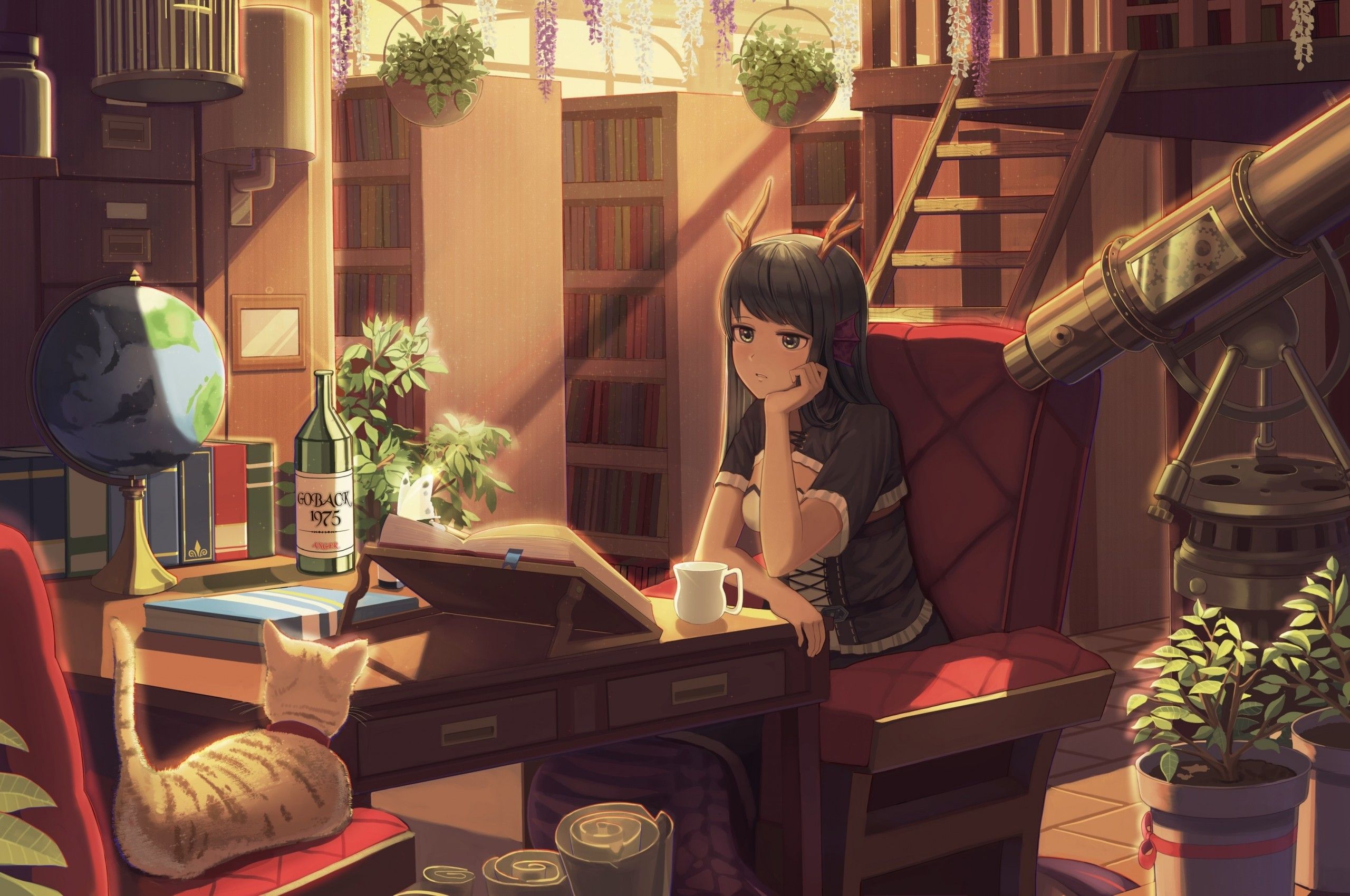 Download 2560x1700 Anime Girl, Horns, Neko, Room, Books, Library, Studying Wallpaper for Chromebook Pixel