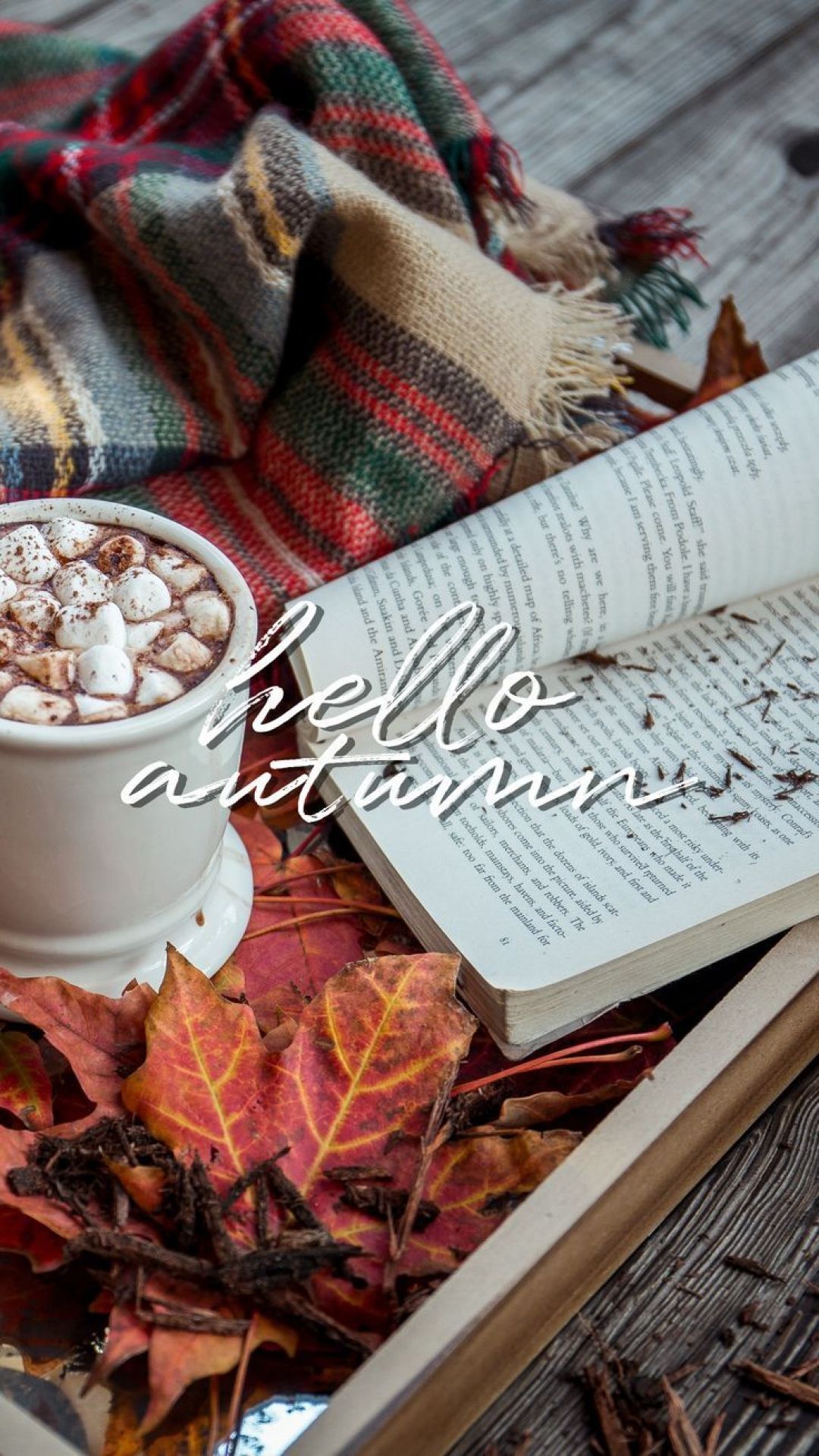 Hello Autumn Aesthetic, iPhone, Desktop HD Background / Wallpaper (1080p, 4k) (1080x1919) (2020)