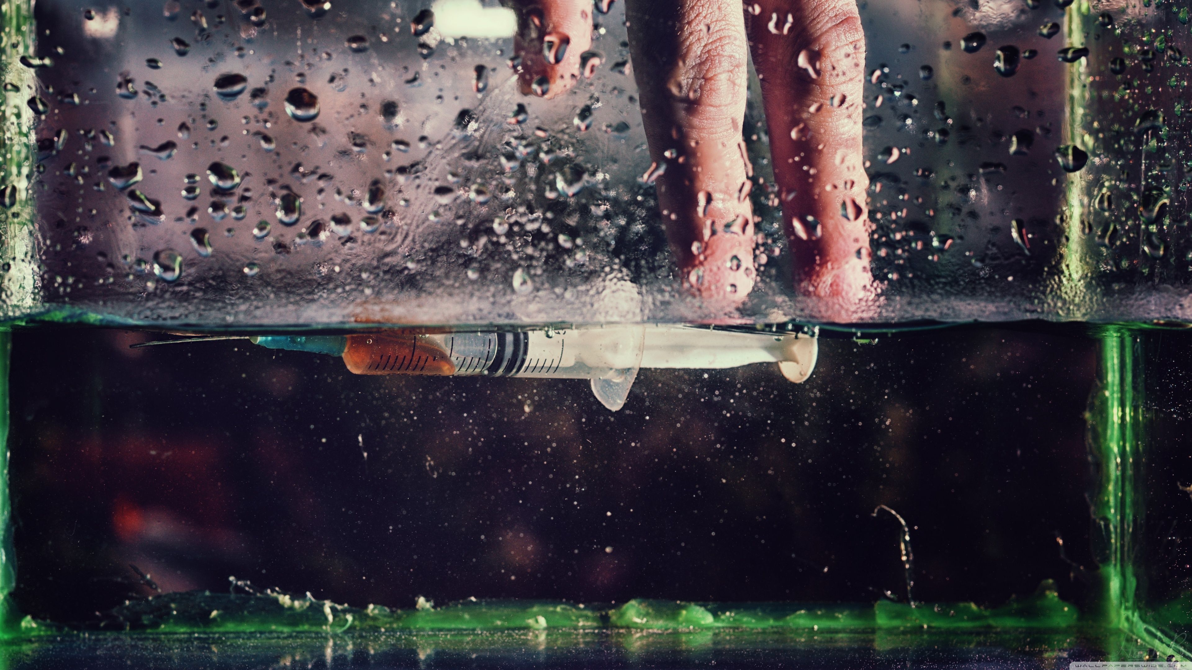 Detail Ultra HD Desktop Background Wallpaper for 4K UHD TV, Widescreen & UltraWide Desktop & Laptop, Tablet