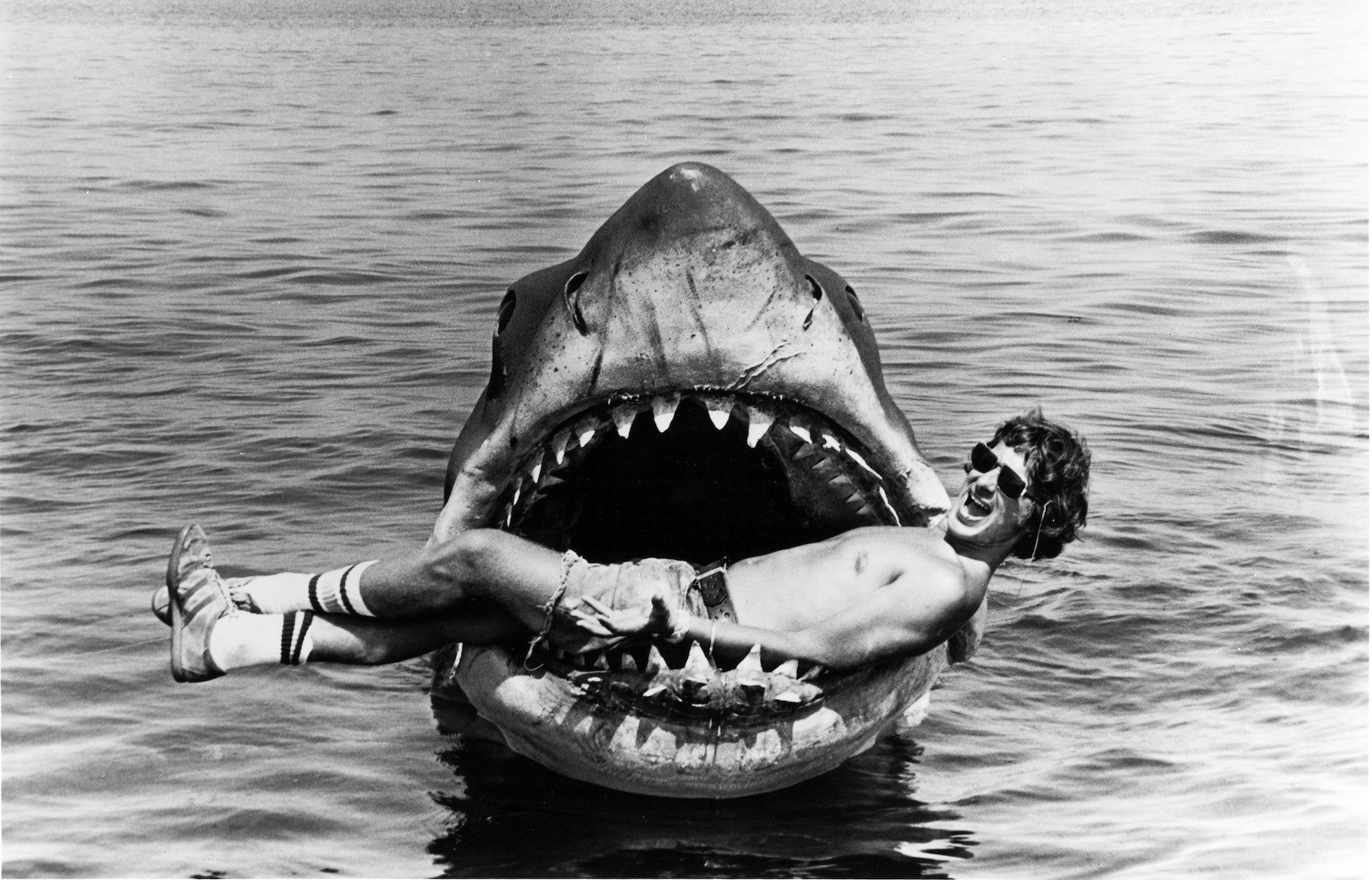 grayscale, jaws, Steven Spielberg, directors wallpaper