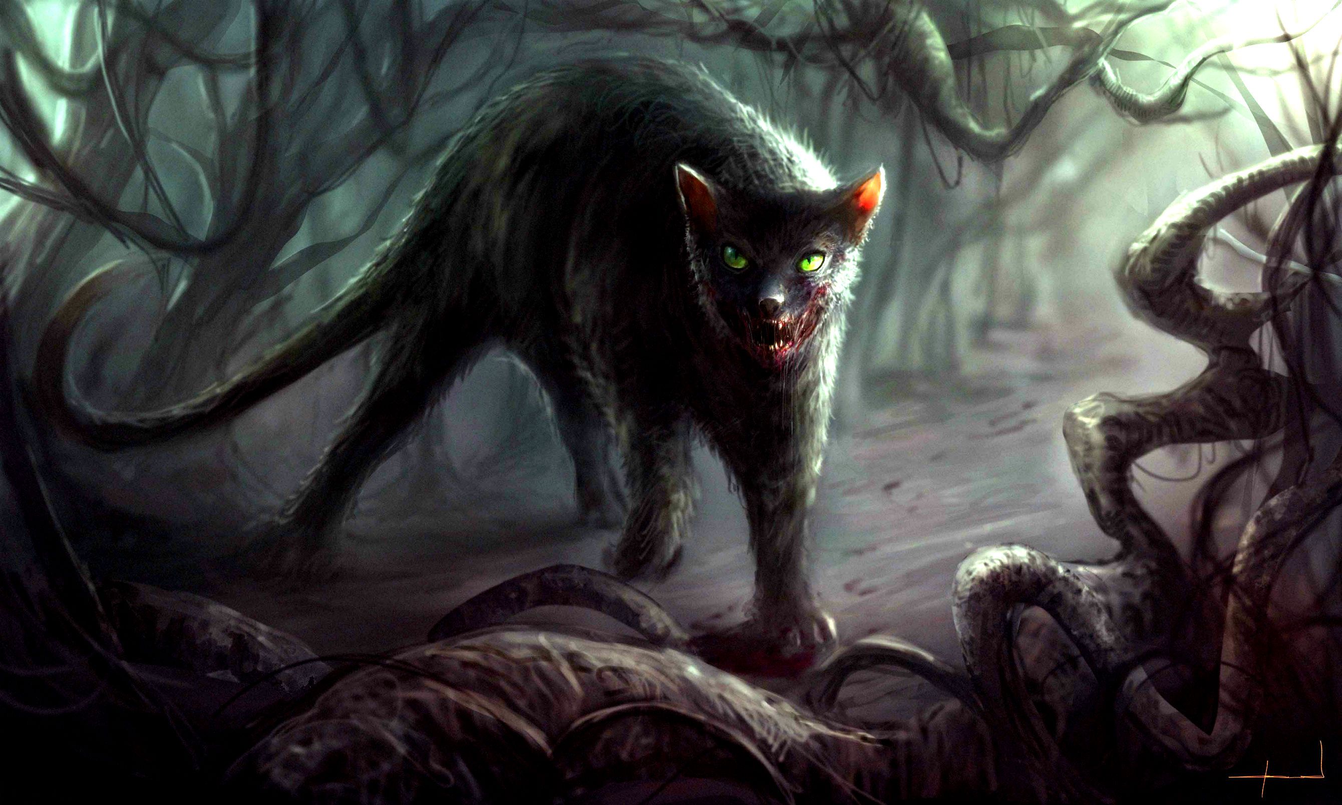 Download wallpaper dark Creepy with tags: Creepy, Cat, Forest, Halloween, Scary, Zombie, Evil, Spooky, Horror, Full screen