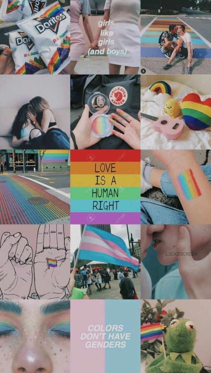 lgbtq, gay, pride and bi