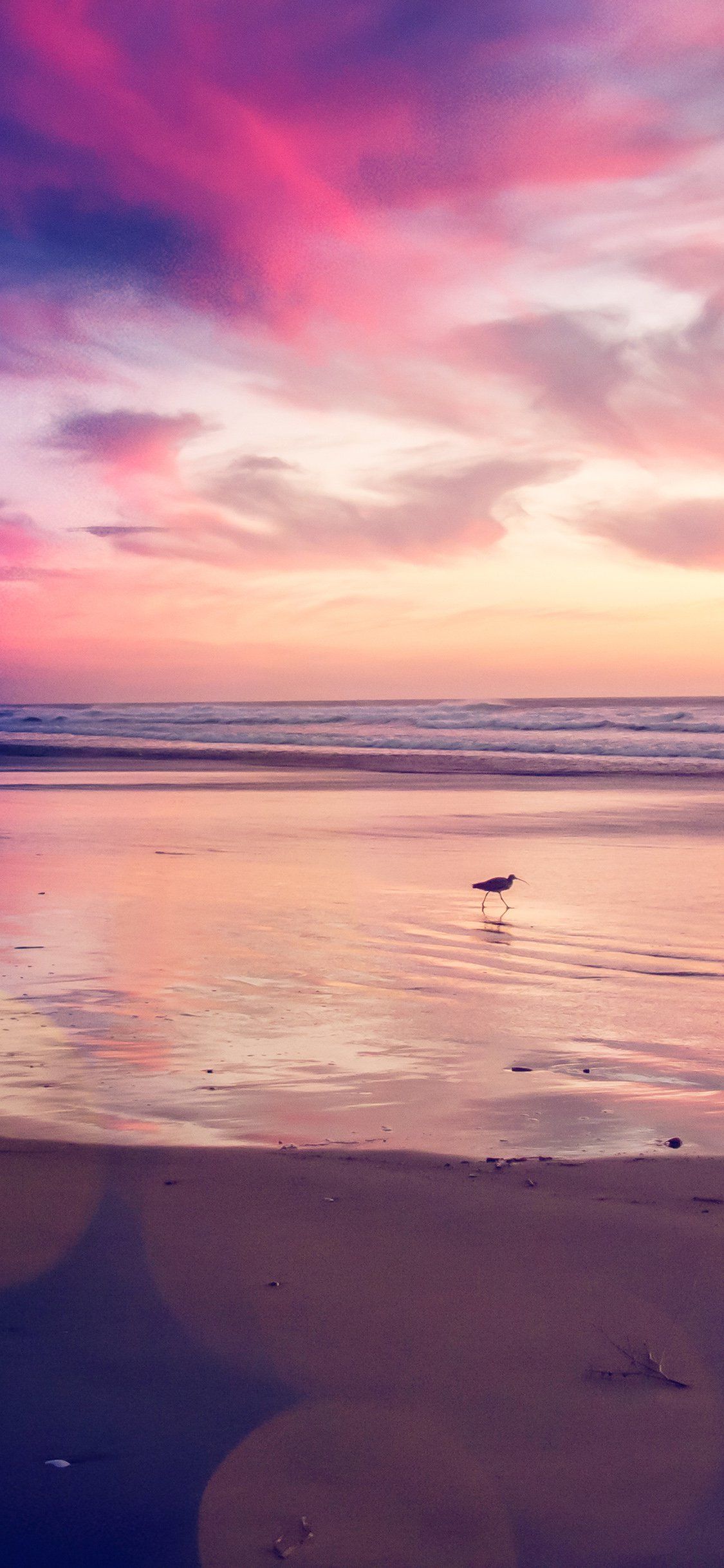 Sunset beach bird iPhone X Wallpaper Free Download