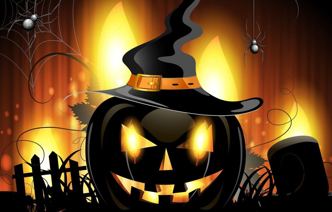 Wallpaper spider, Halloween, hat, holiday, artwork, pumpkin, vector art, witch hat image for desktop, section праздники