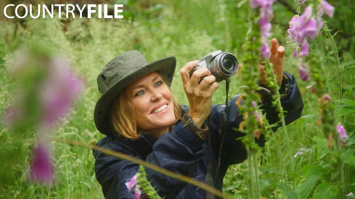 countryfile-wallpapers-wallpaper-cave