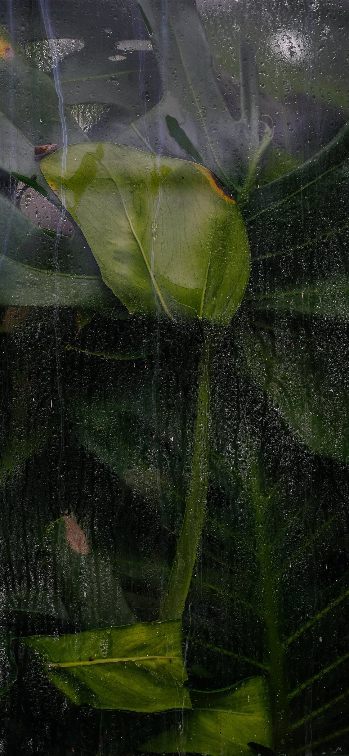 iPhone Green And Black Wallpapers Wallpaper Cave