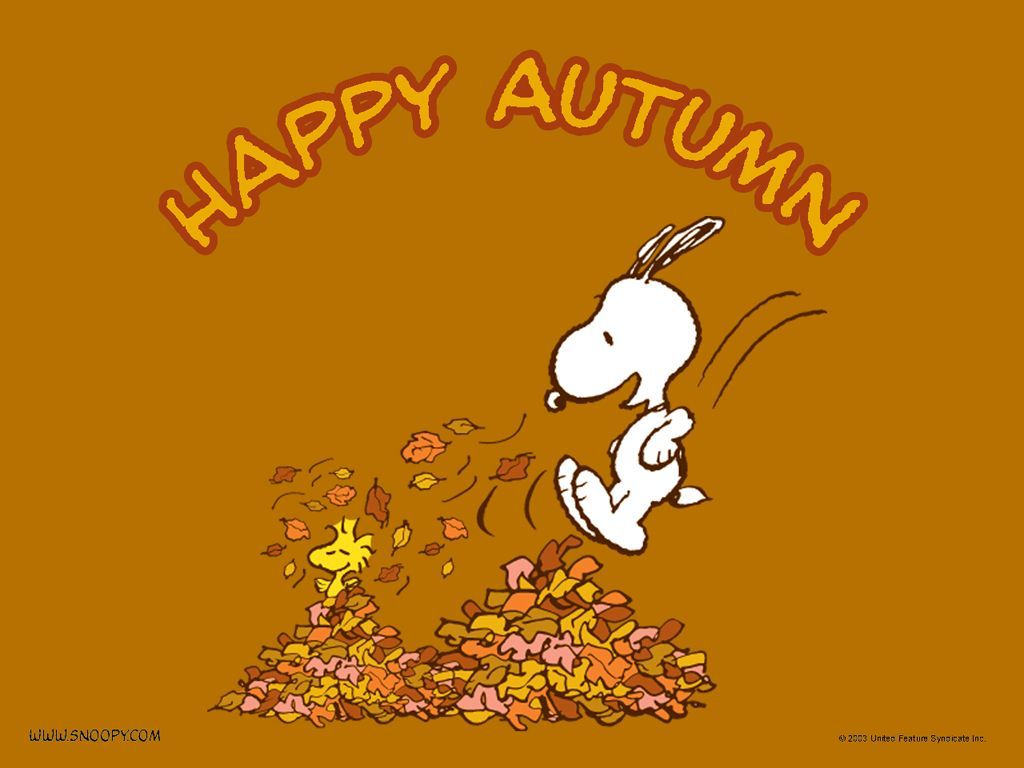 Snoopy's Happy Autumn. Life In Progress. Snoopy halloween, Happy fall, Fall wallpaper