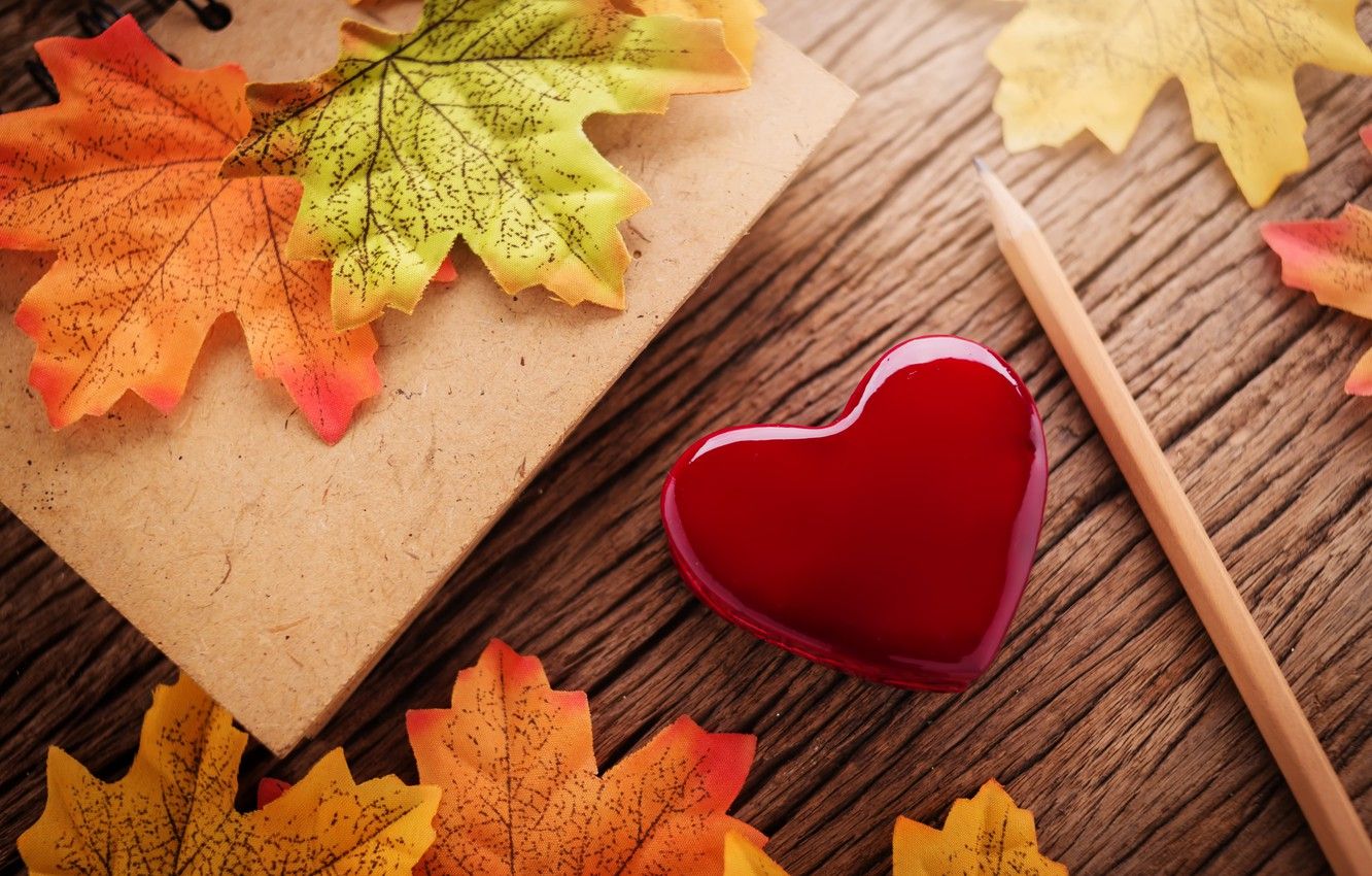 Wallpaper autumn, leaves, love, heart, red, love, heart, wood, autumn, leaves, romantic, autumn, maple image for desktop, section настроения
