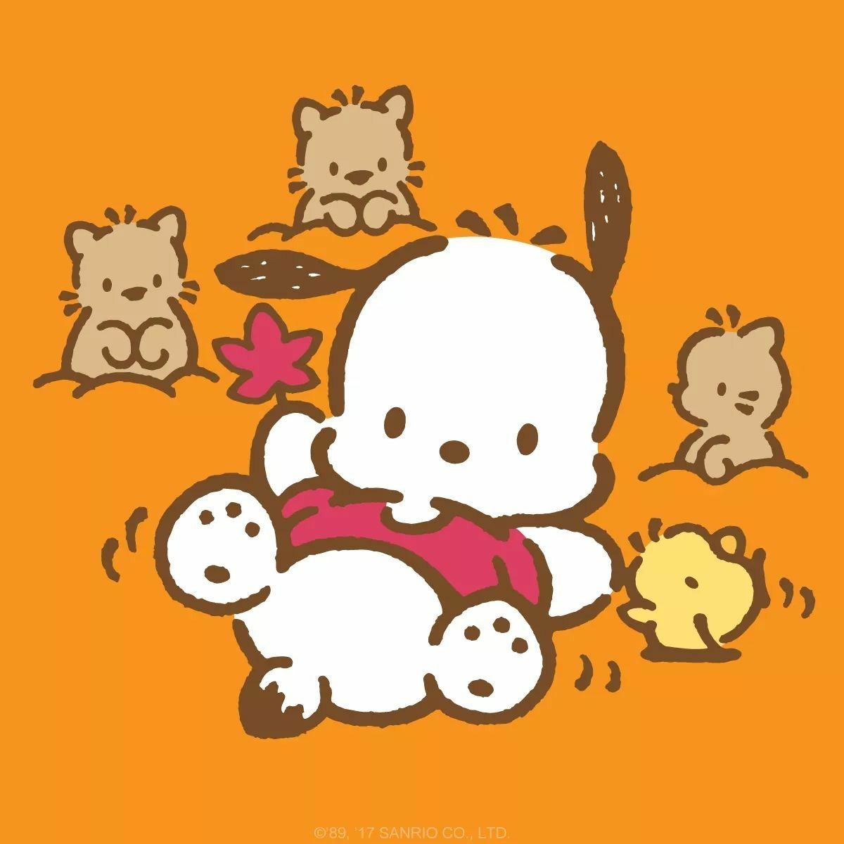 Looks like Pochacco found some autumn leaves! Happy First day of Fall!. Cute cartoon wallpaper, Sanrio hello kitty, Hello kitty characters