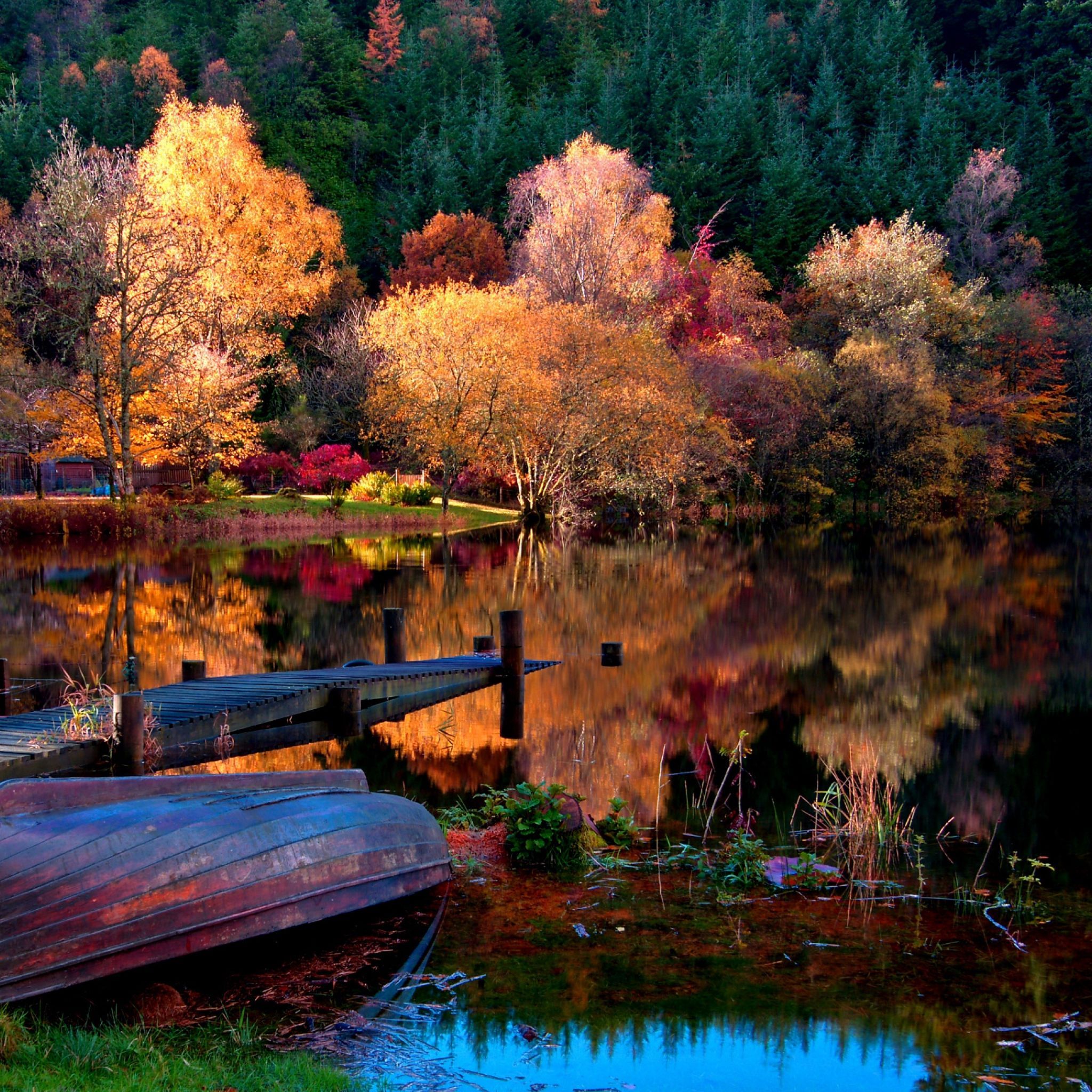 Wallpaper boat, coast, bottom, autumn, lake, surface, trees, wood, reflection, colors, brightly, light. Autumn lake, Natural scenery, Beautiful nature