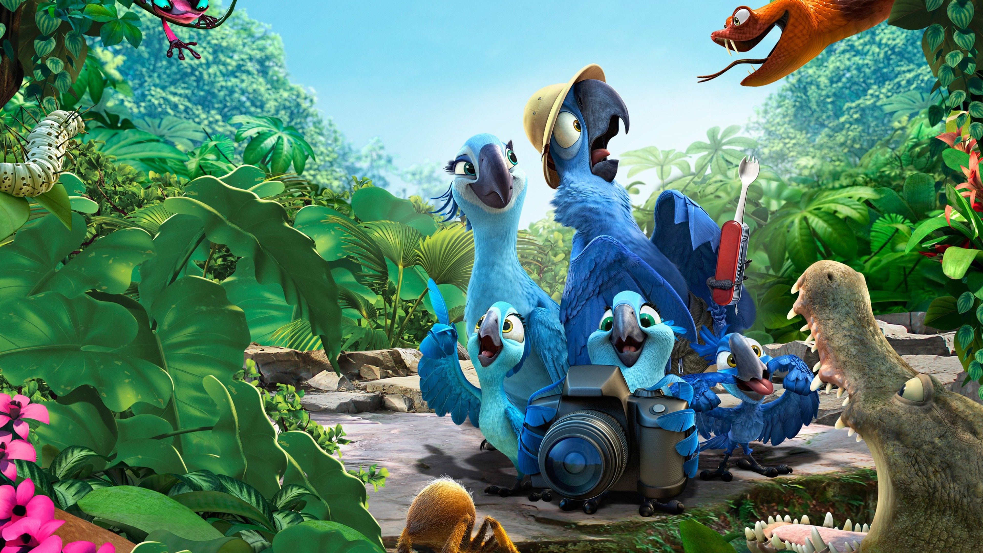 Rio 2 Movie HD, HD Movies, 4k Wallpaper, Image, Background, Photo and Picture