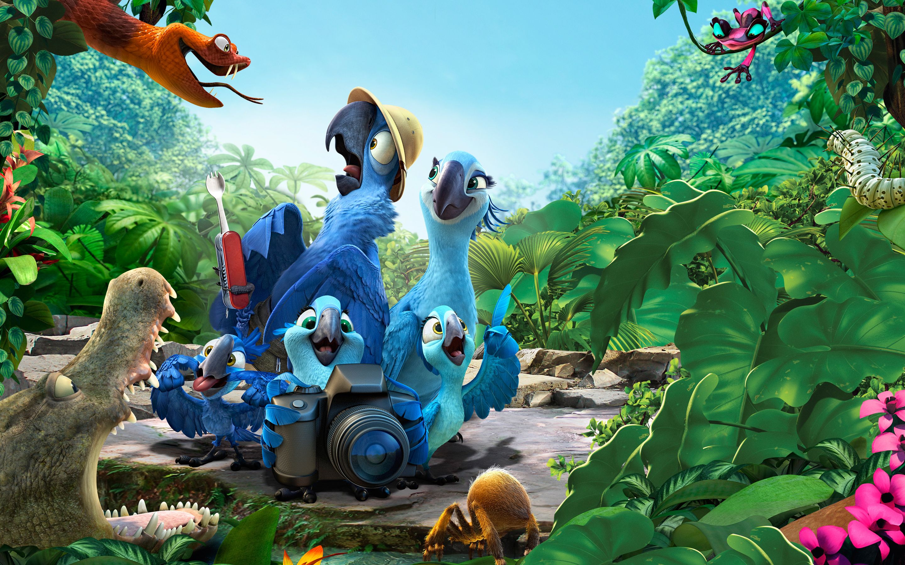 Rio 2 Laptop Full HD 1080P HD 4k Wallpaper, Image, Background, Photo and Picture