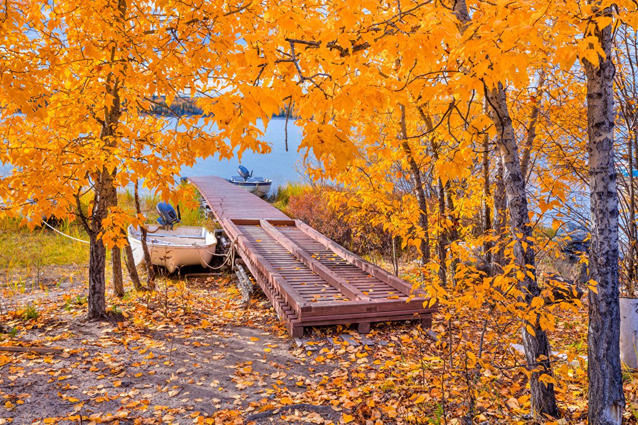 Desktop Wallpaper Nature bridge Autumn Lake Boats Trees