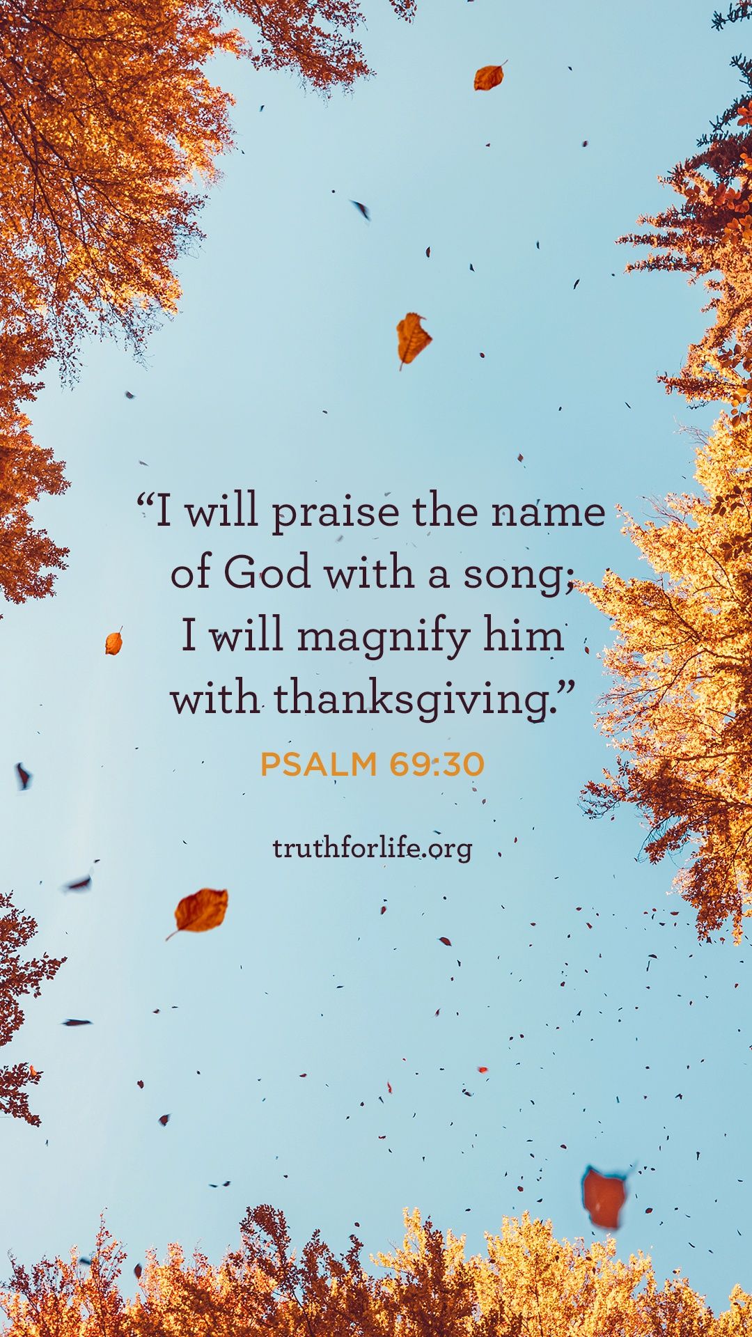 Thanksgiving Wallpaper Great Way to Show How grateful You Are