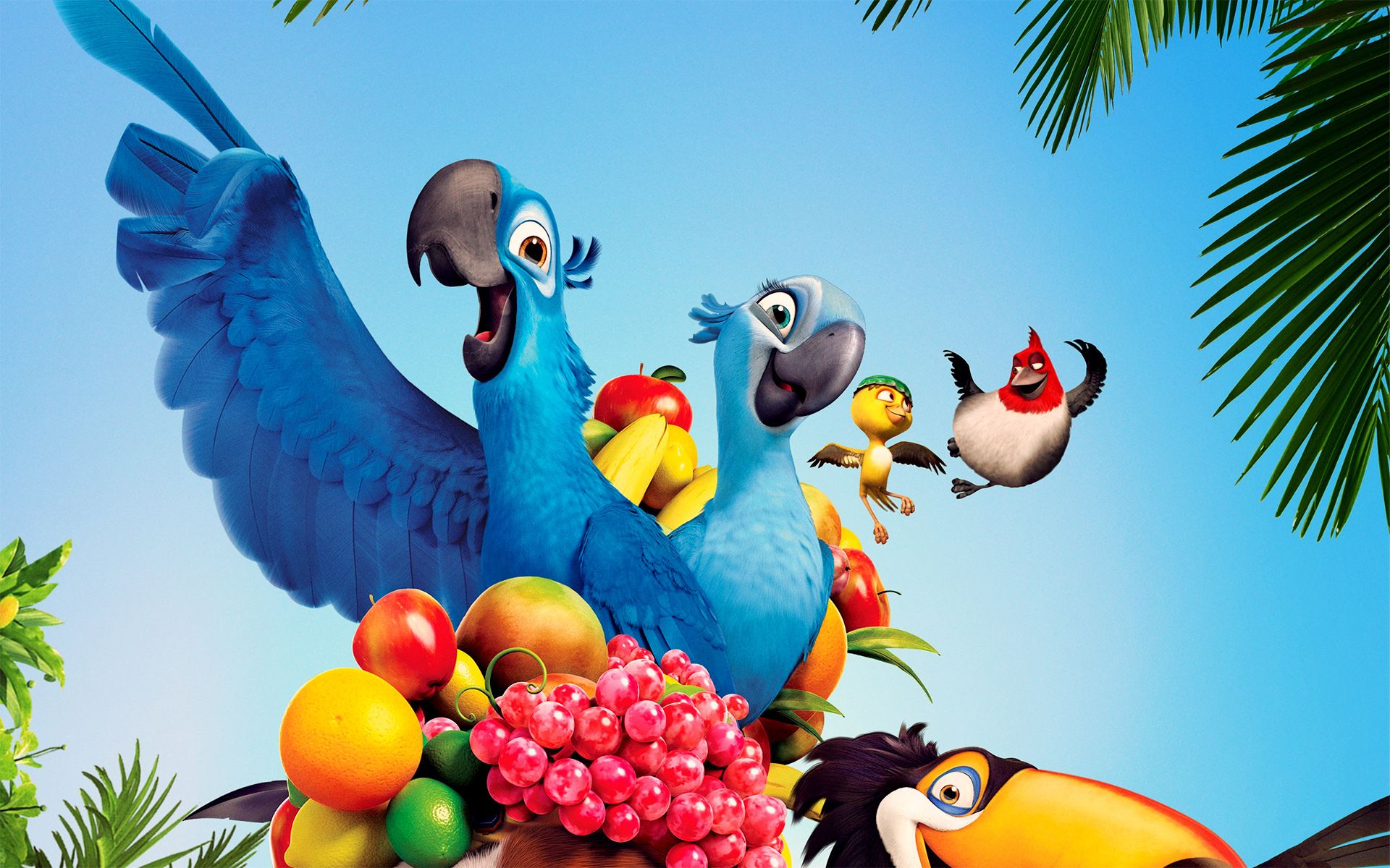 Rio 2 Cartoon, Rio 2 Parrots Cartoon Wallpaper