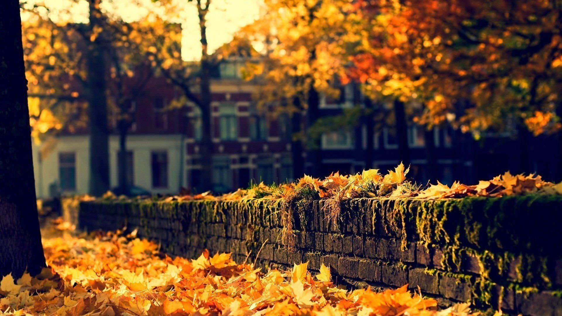 Small Town Wallpaper Small Town Image and Wallpaper for Mac. Desktop wallpaper fall, Aesthetic wallpaper, Fall picture nature