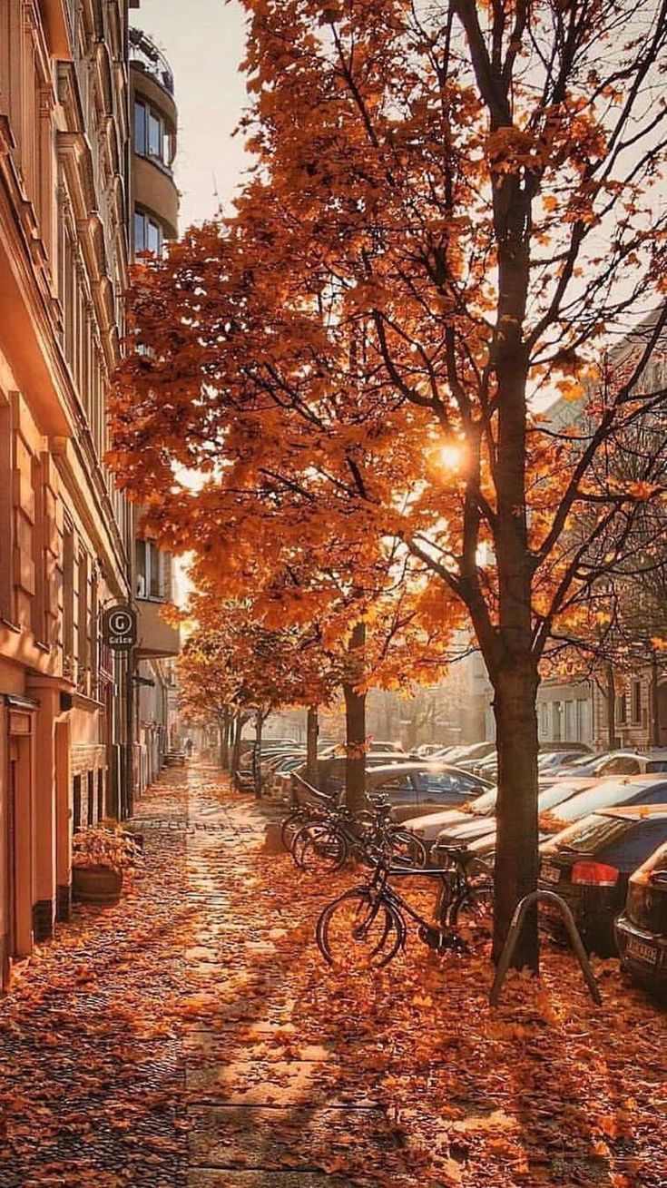Beautiful autumn photo