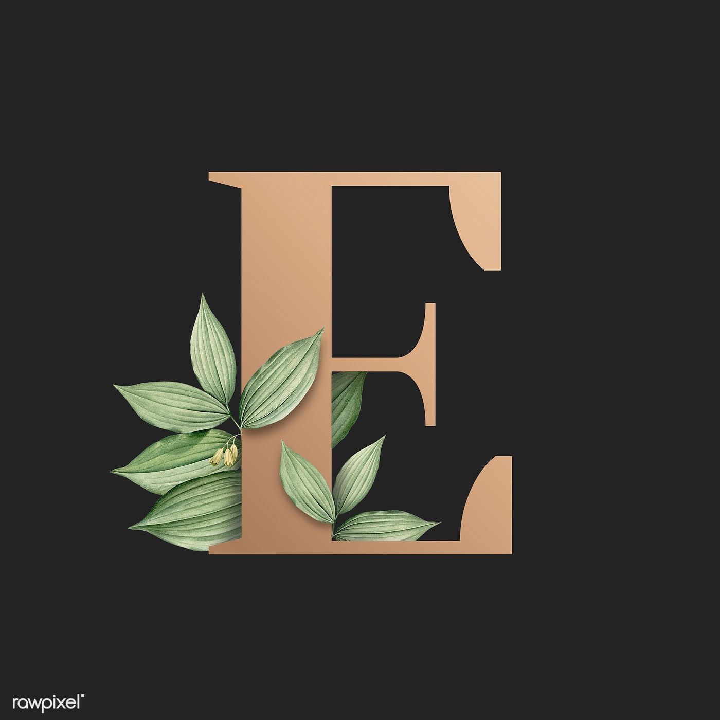Download premium illustration of Botanical capital letter E illustration. Lettering alphabet fonts, Illustration, Graphic design fonts