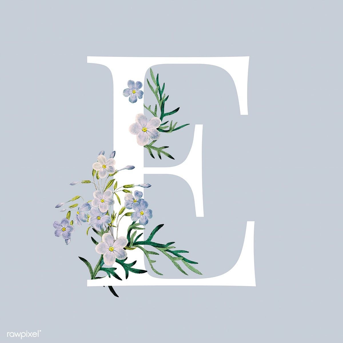 White letter E decorated with hand drawn blue phlox vector. free image by rawpixel.com / sasi. Vector free, Monogram wallpaper, Lettering alphabet fonts