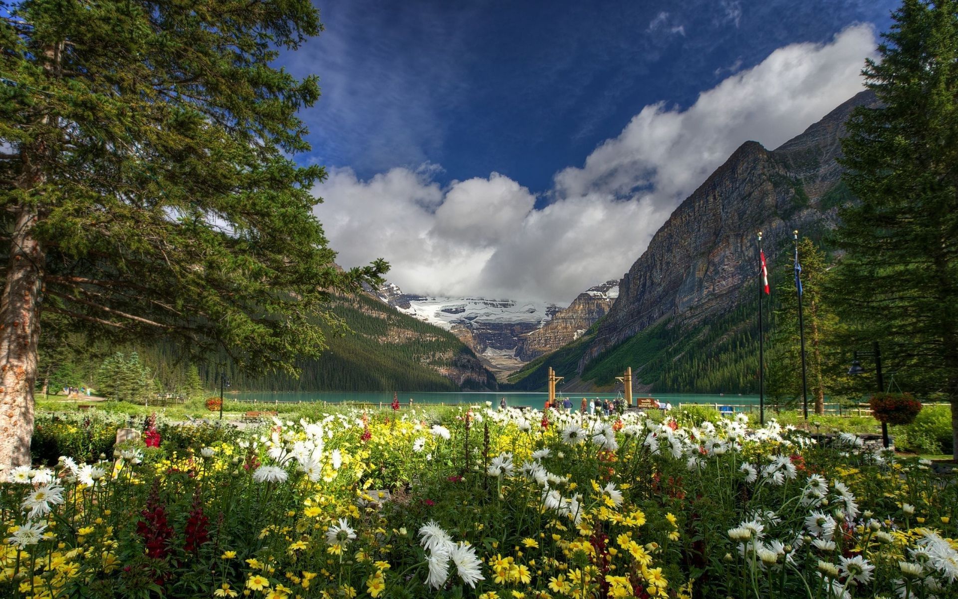 Lake Louise Canada Banff National Park Canada Lakes National Park Canada Lake Wallpaper & Background Download
