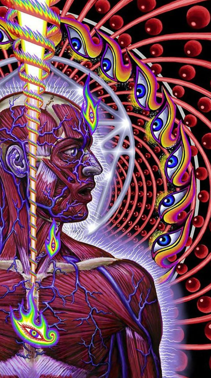 Lateralus wallpaper (not mine)