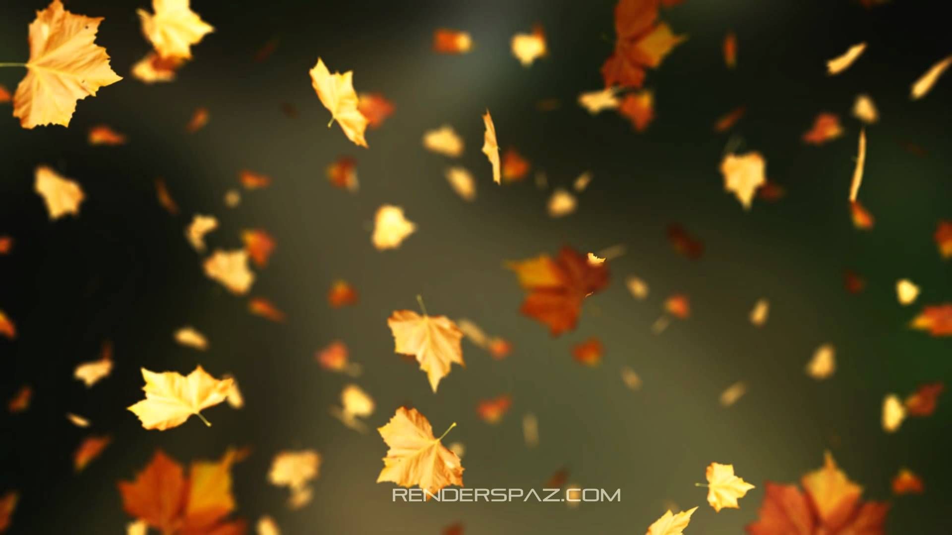 Fall Leaves Animated Wallpaper. Autumn leaves background, Fall wallpaper, Leaf background