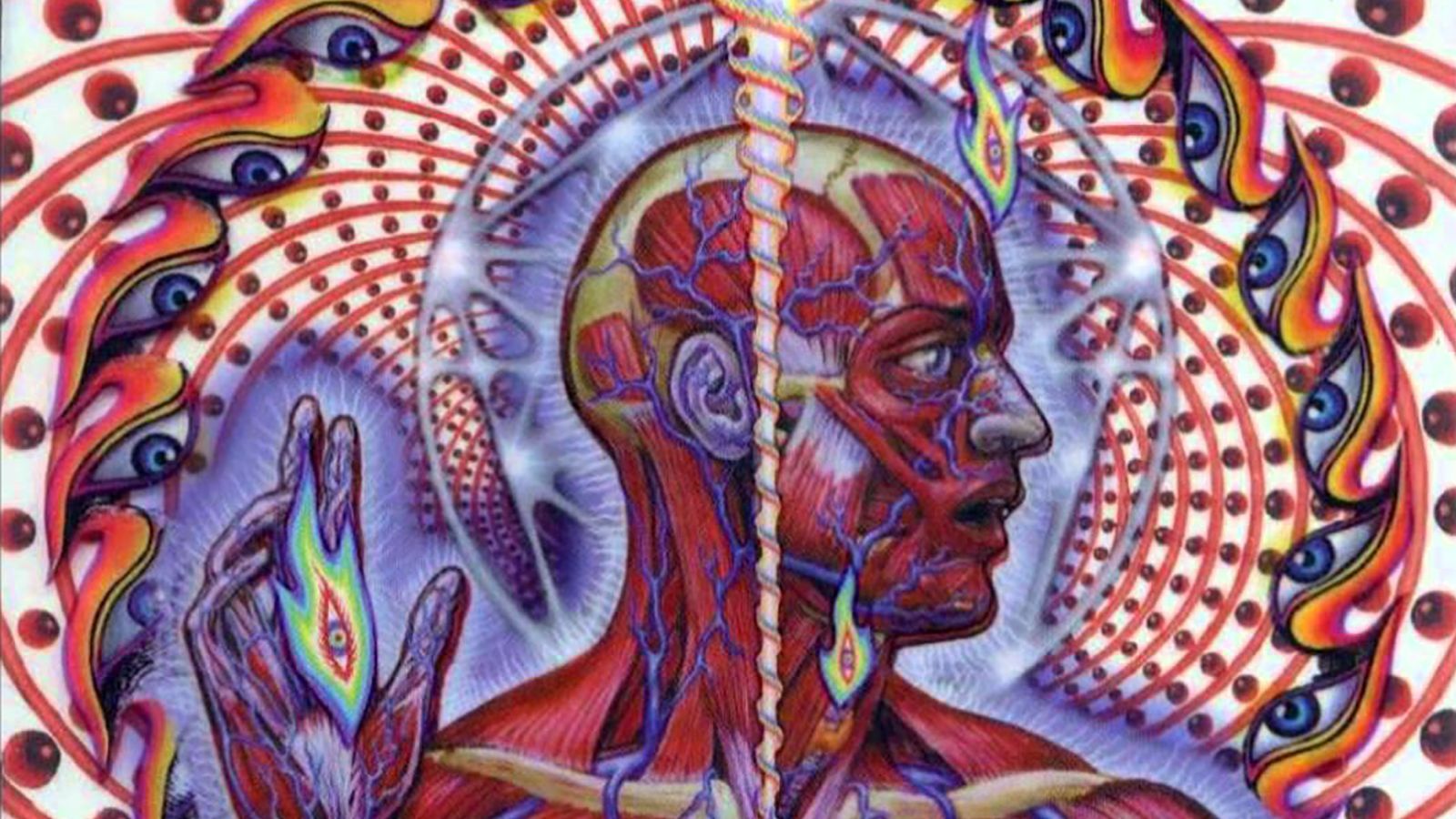 Things You Didn't Know About Tool's 'Lateralus'