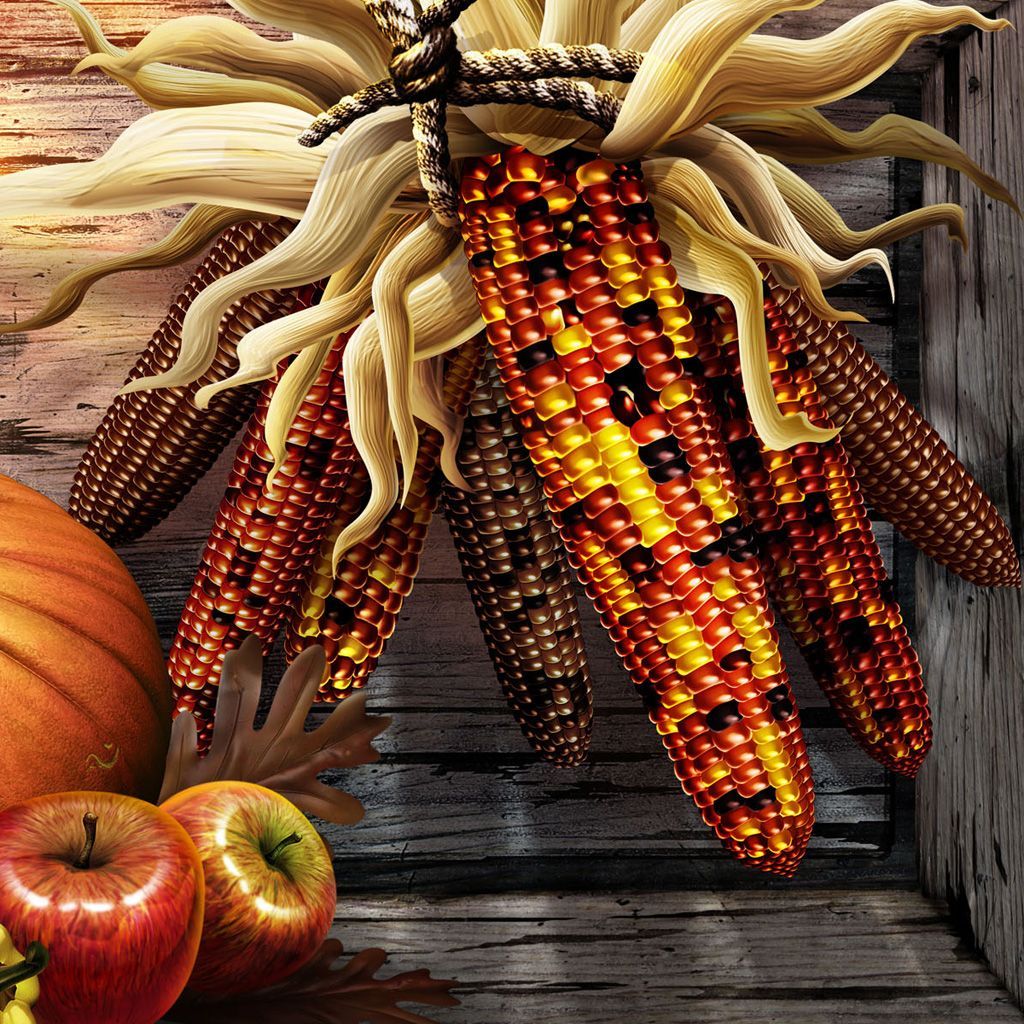 Free Thanksgiving Wallpaper for iPad amp iPad Bumper Harvest. Thanksgiving background, Facebook cover, Thanksgiving picture