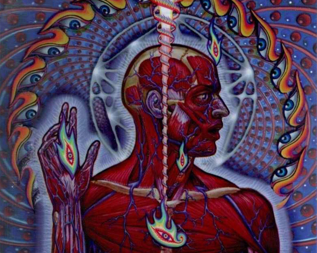 image For > Tool Lateralus Album Art. Tool band artwork, Tool band art, Album art