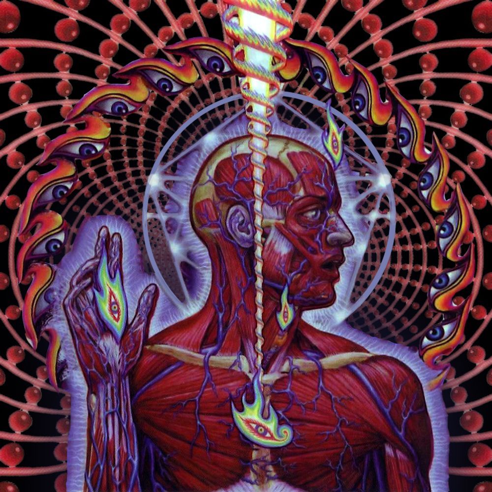 Lateralus Wallpapers - Wallpaper Cave