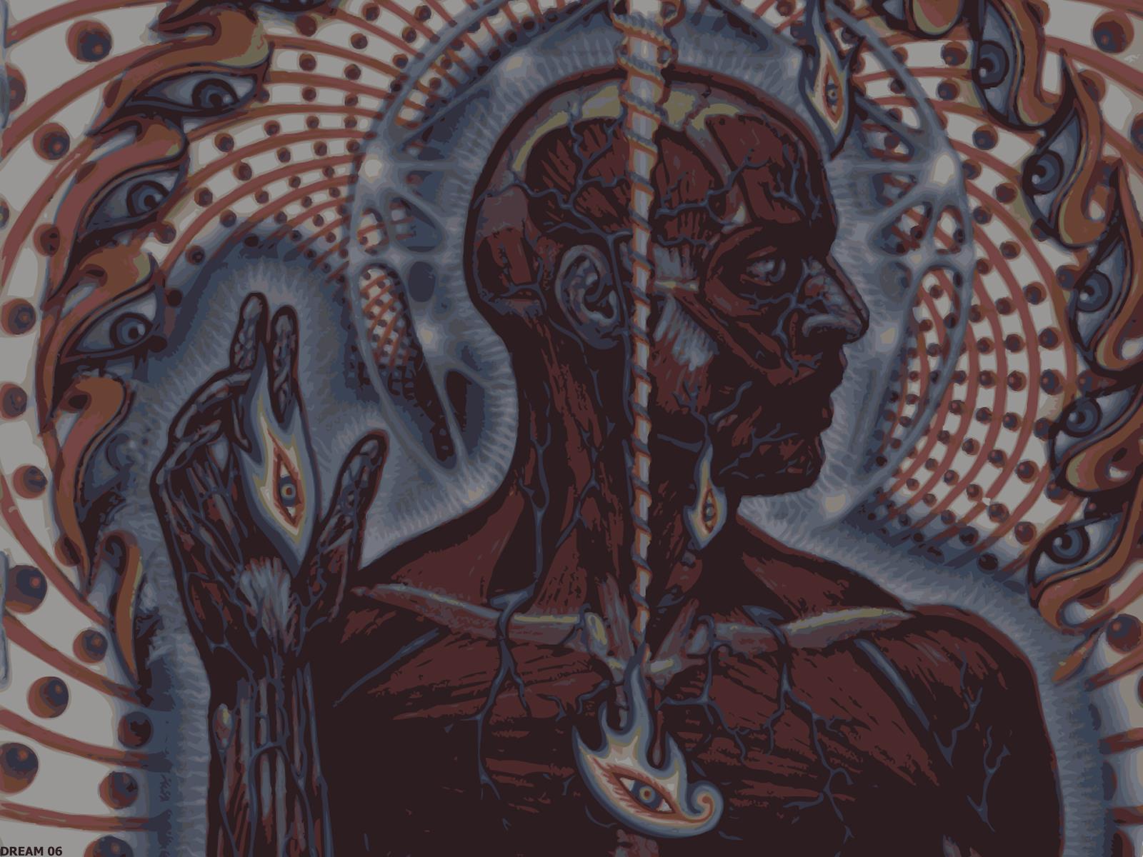 Alex Grey Wallpaper Group Lateralus Wallpaper & Background Download