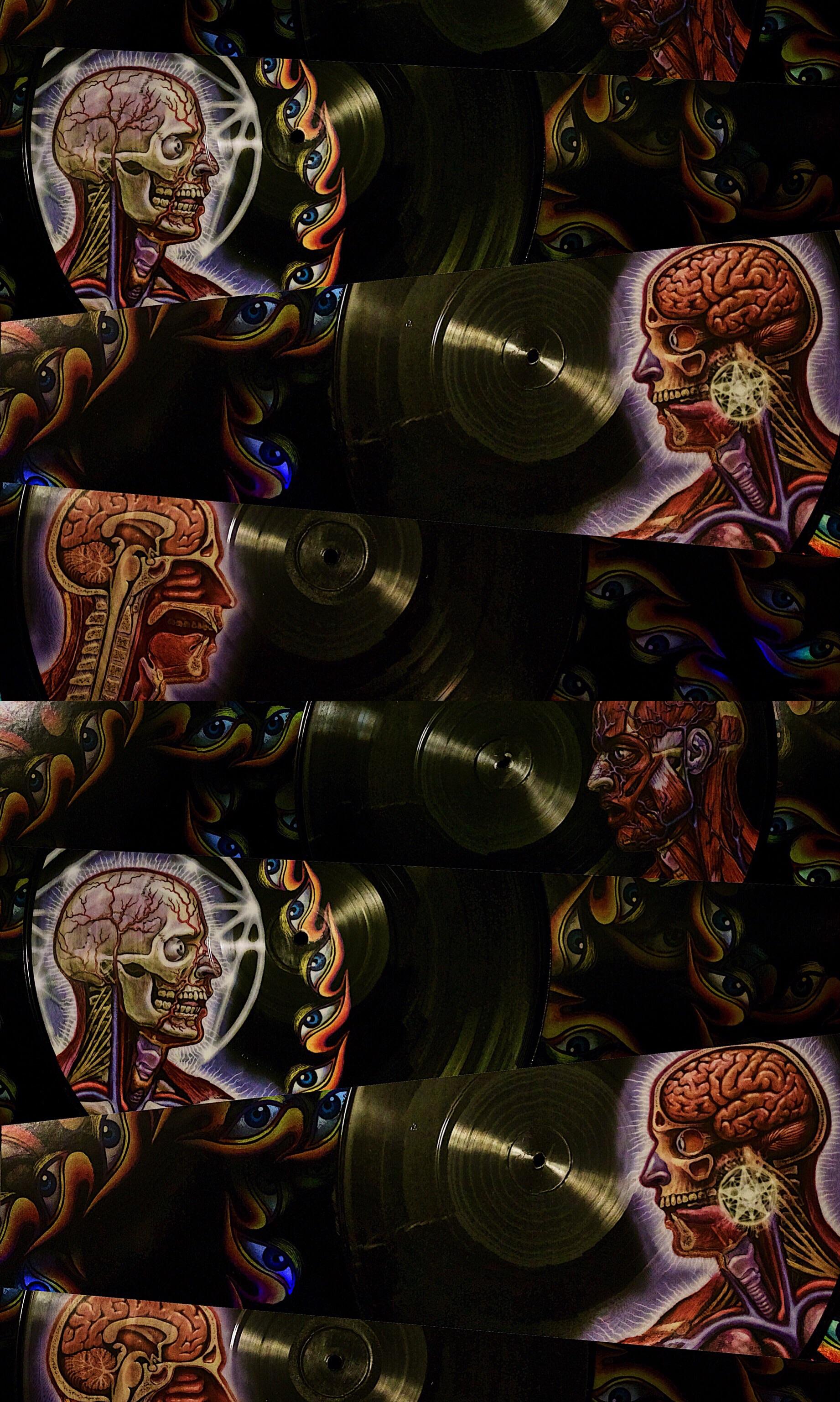 Ordered the lateralus vinyl, made a phone wallpaper of the records