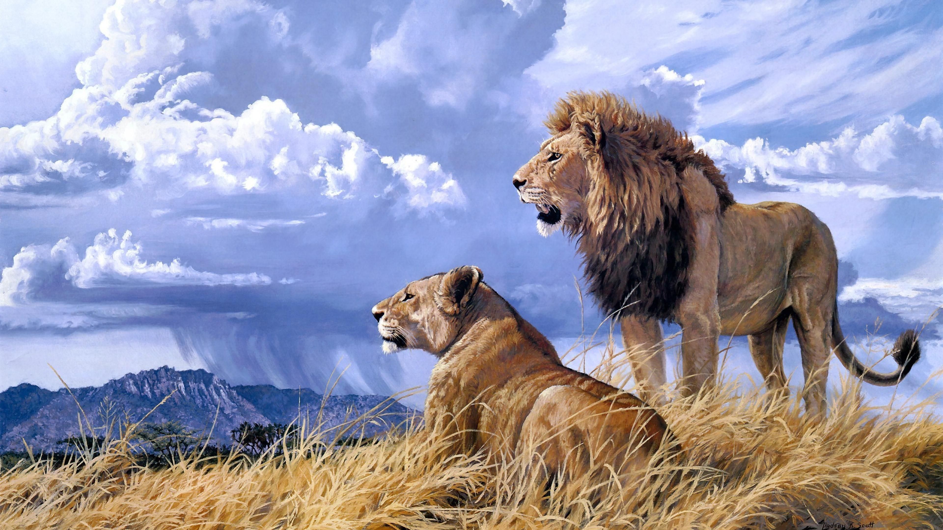 Pride Art Lion Animals Ultra 3840x2160 HD Wallpaper. Lion painting, Lion image, Lion HD wallpaper