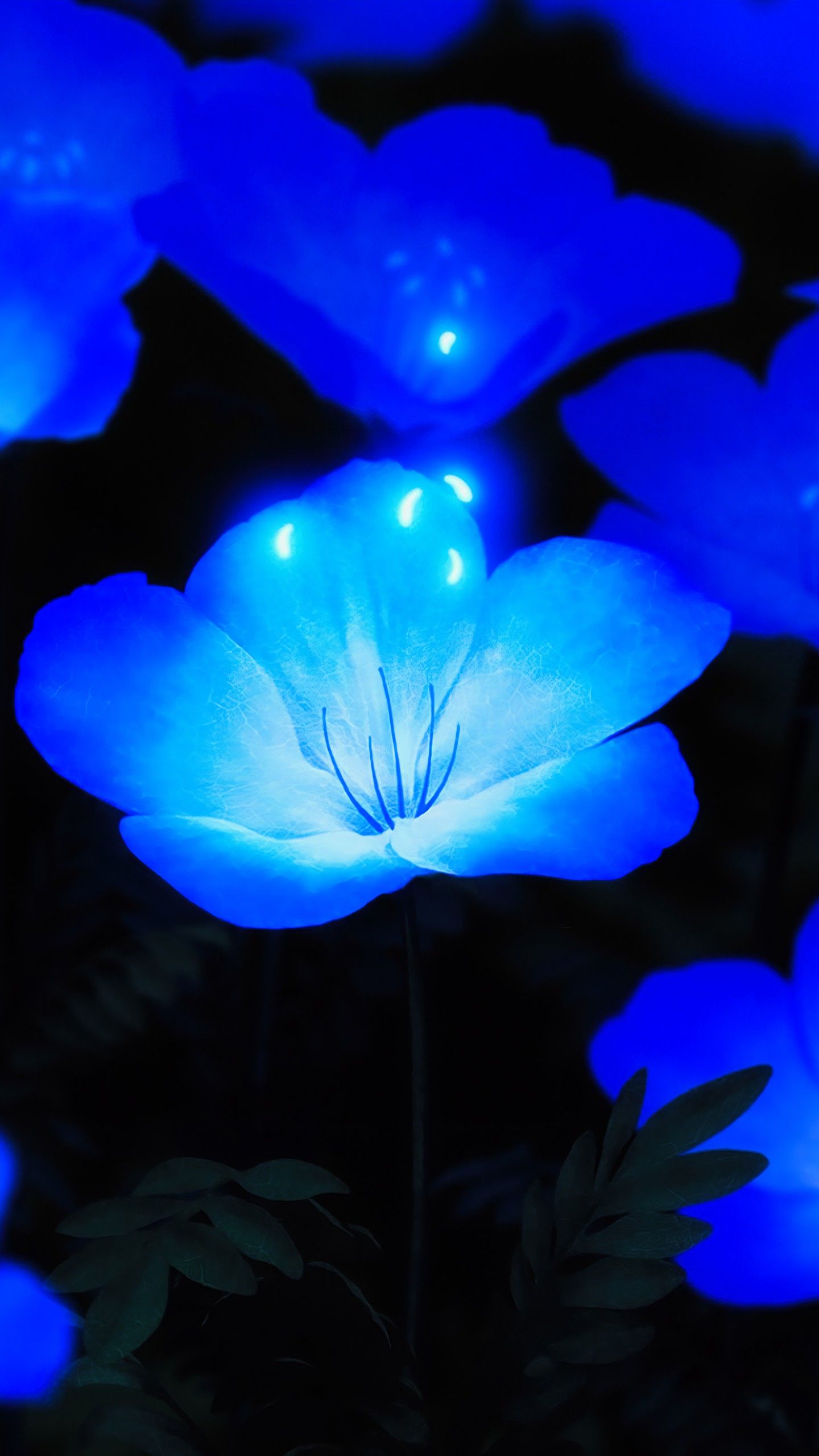 Glowing Blue flowers 4K 8K Wallpaper