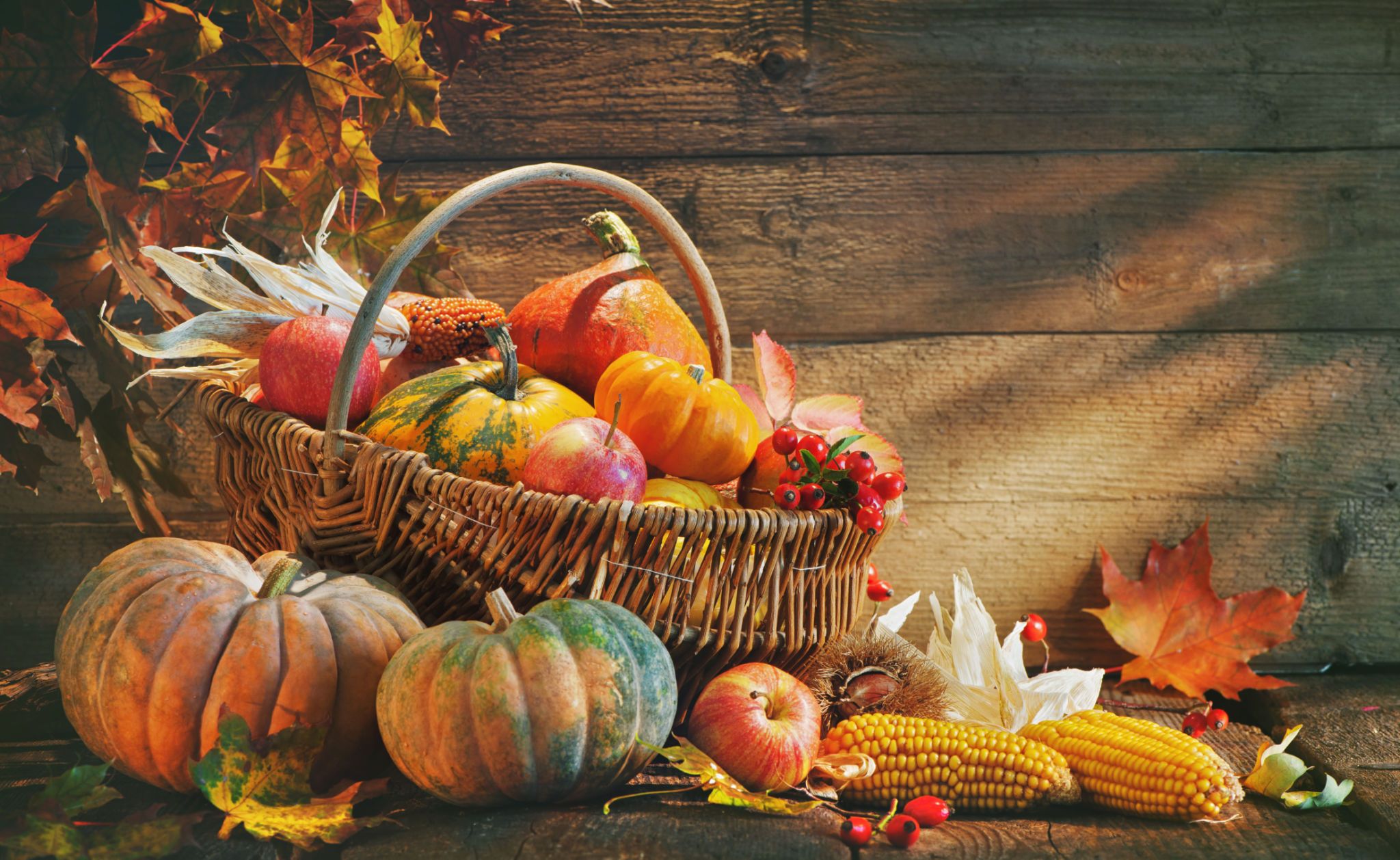 Happy Thanksgiving Image & Picture HD [2020] 2020, Meaning, Quotes, Message, Food