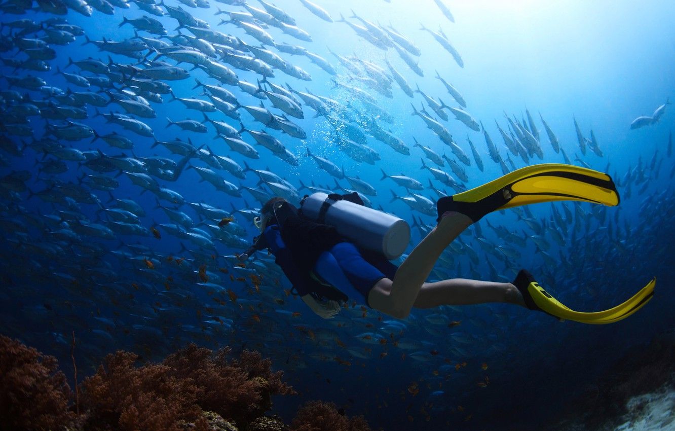 Wetsuit Wallpapers - Wallpaper Cave