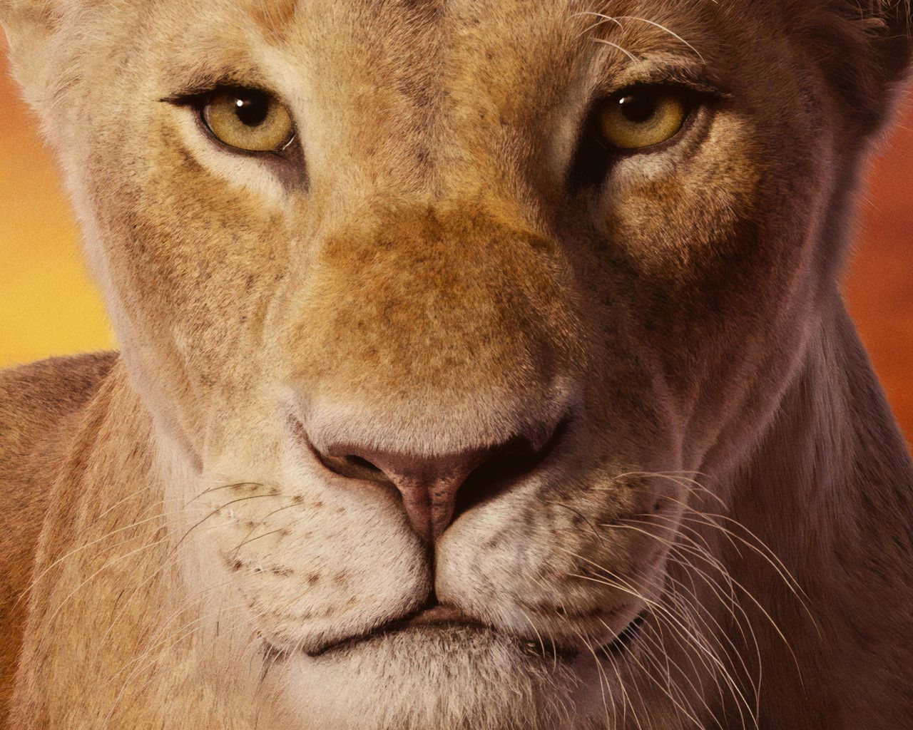 Beyonce As Nala The Lion King 2019 4k 1280x1024 Resolution HD 4k Wallpaper, Image, Background, Photo and Picture