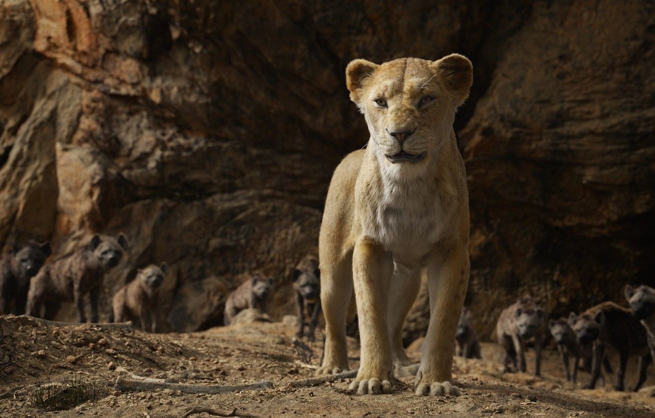 Wallpaper lioness, The Lion King, The Lion King, hyenas, Nala image for desktop, section фильмы