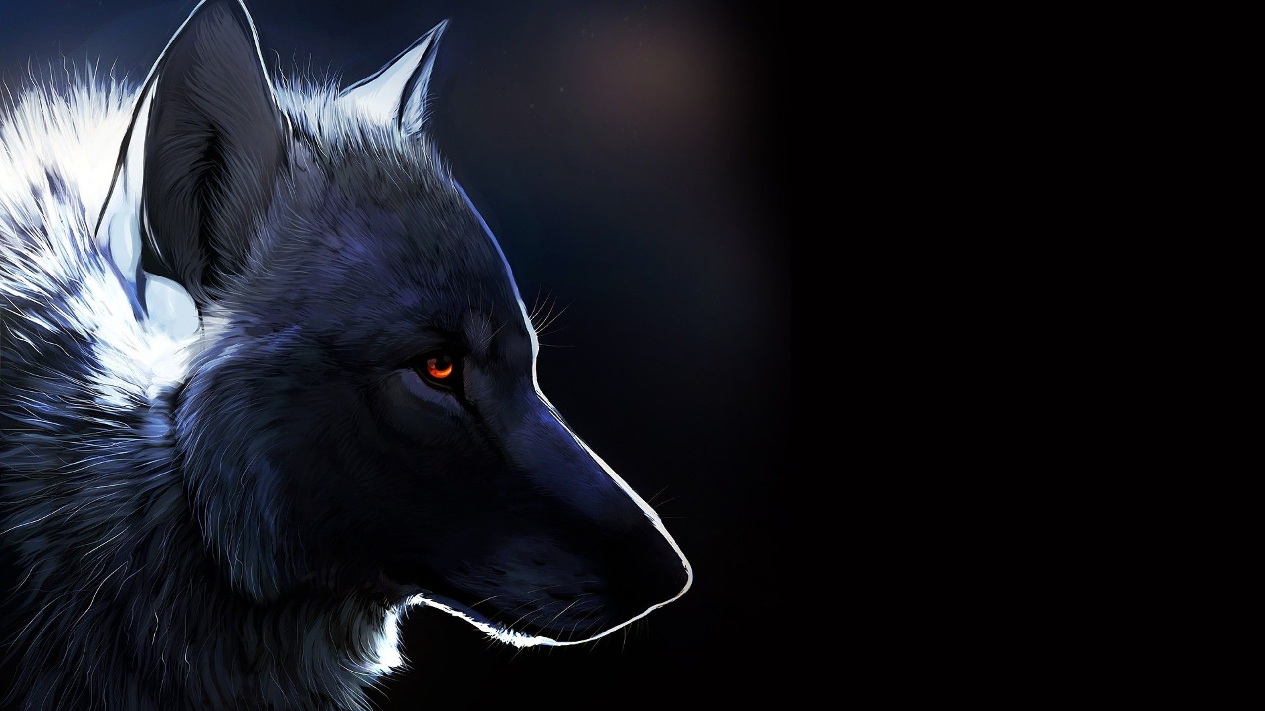 Wallpaper Download 2560x1440 Black wolf drawing creative wallpaper. Wild animals wallpaper. Animals Wallpap. Wolf wallpaper, Wolf background, Fantasy wolf