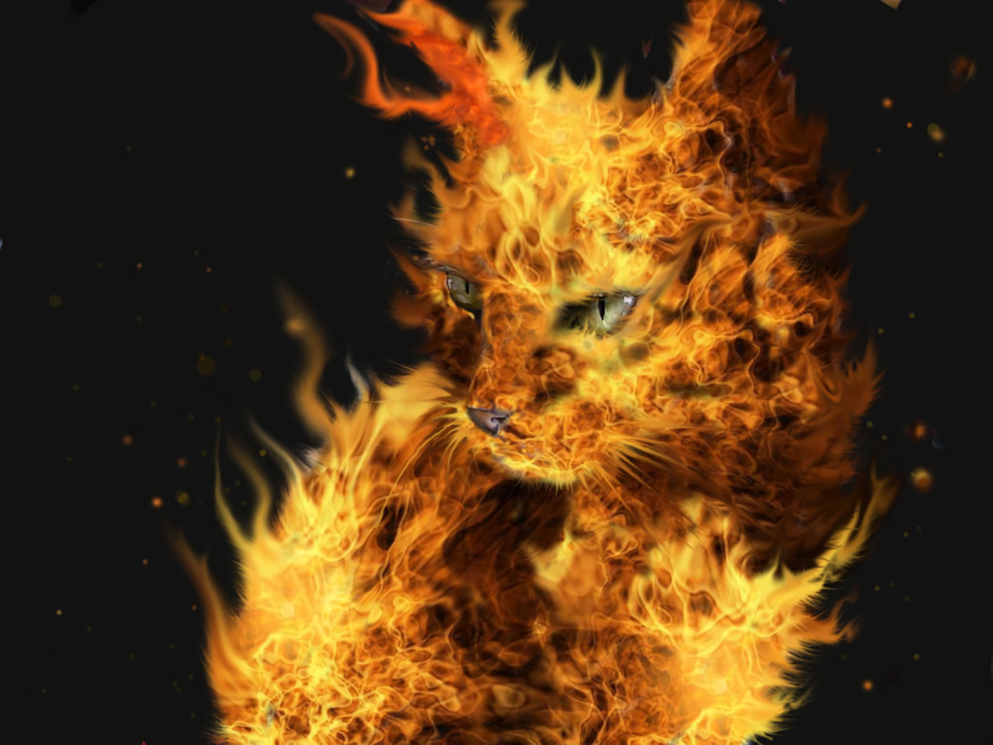 Download Fire Cat Wallpaper, HD Background Download