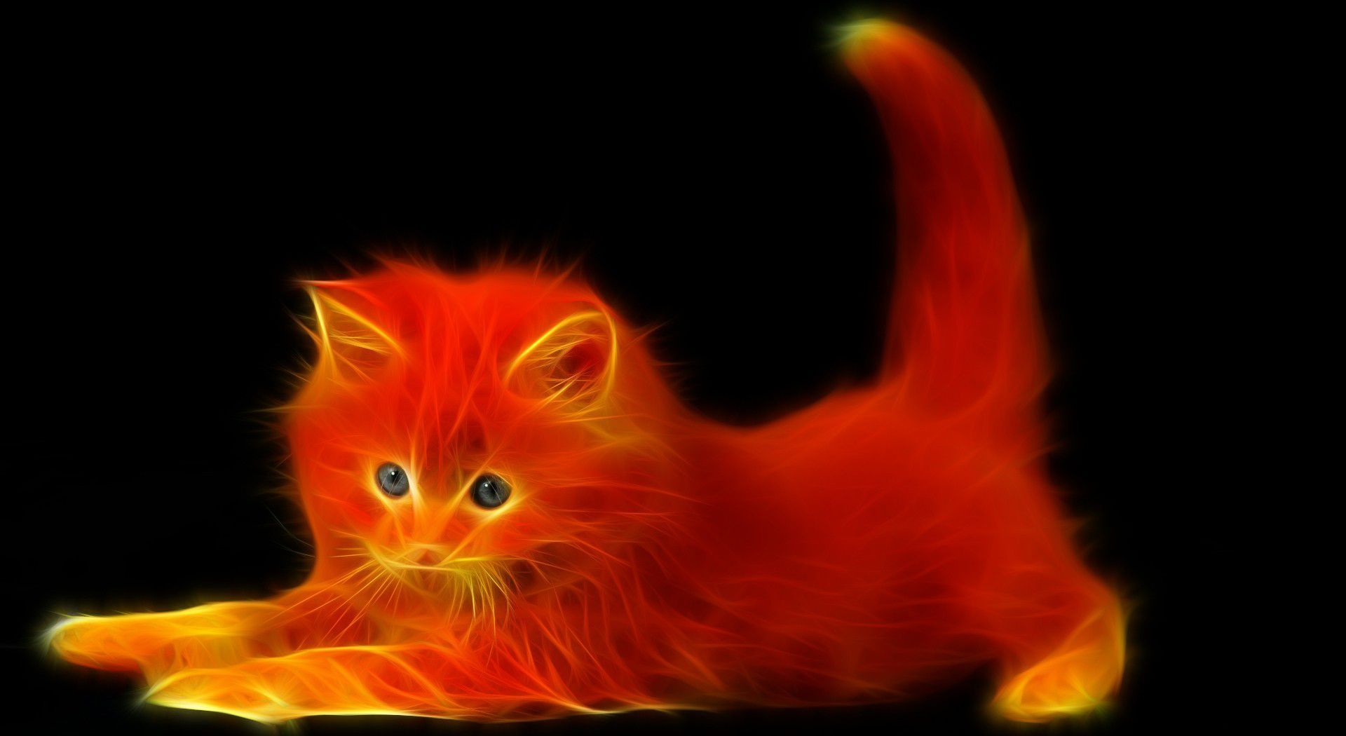 Fire Cat Wallpaper. Unusual animals, Cats, Cat wallpaper