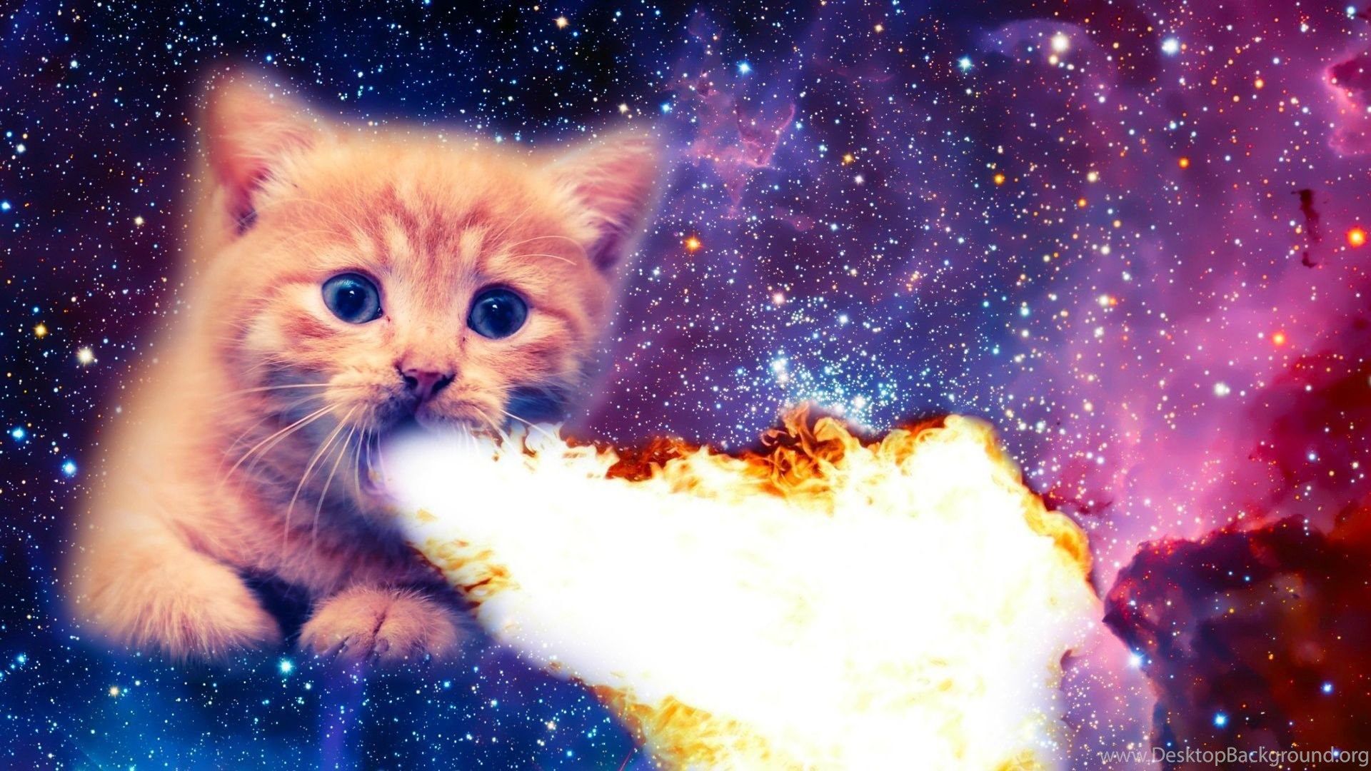 My Fire Breathing Space Cat Imgur Desktop Background