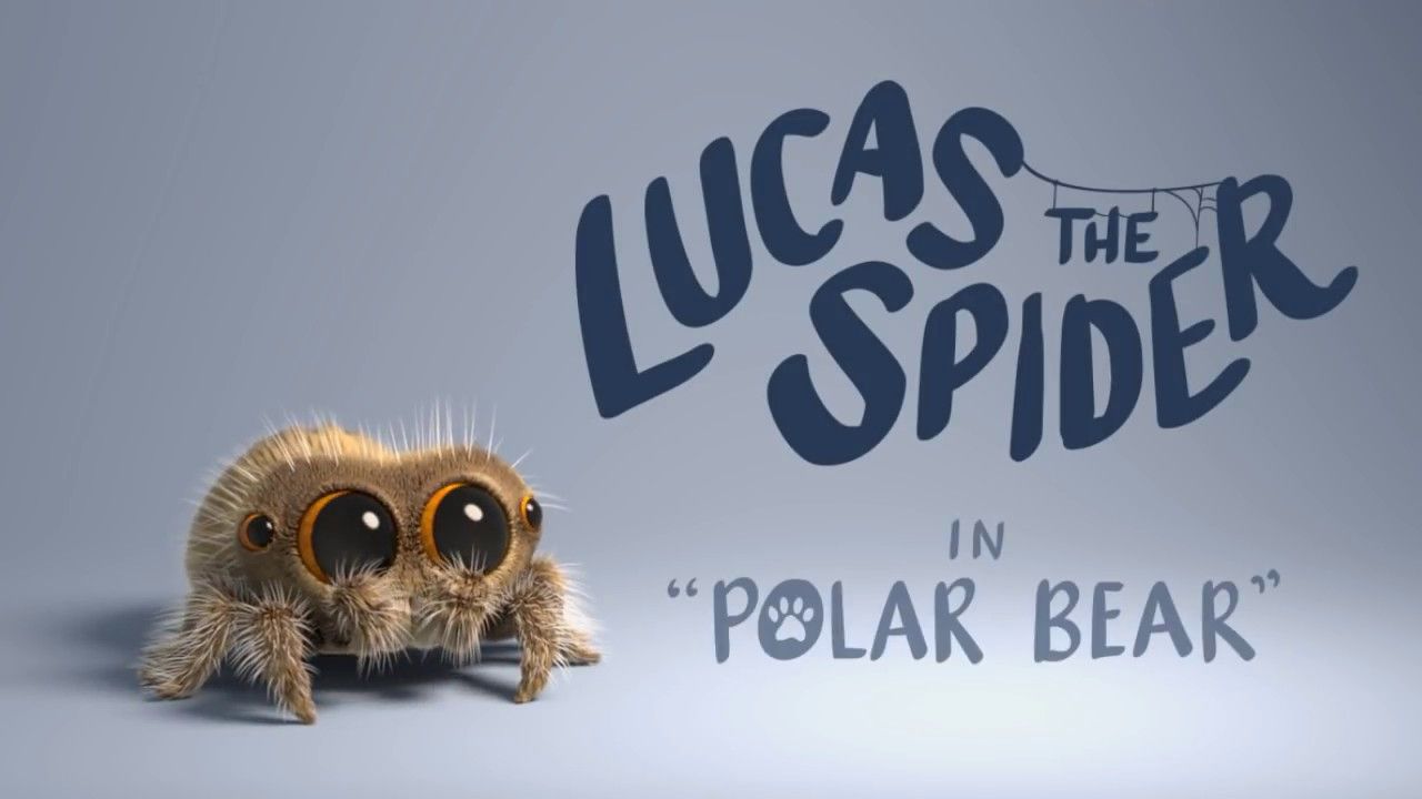 Lucas the Spider boops a polar bear on the nose :// /watch?v=4HU6Z7anycw&feature=share. Lucas the spider, Polar bear, Spider