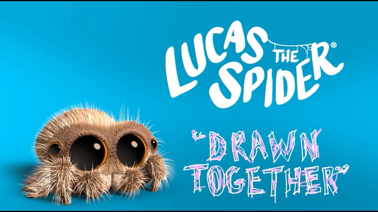Lucas the Spider Together. Lucas the spider, Jumping spider, Cat hug